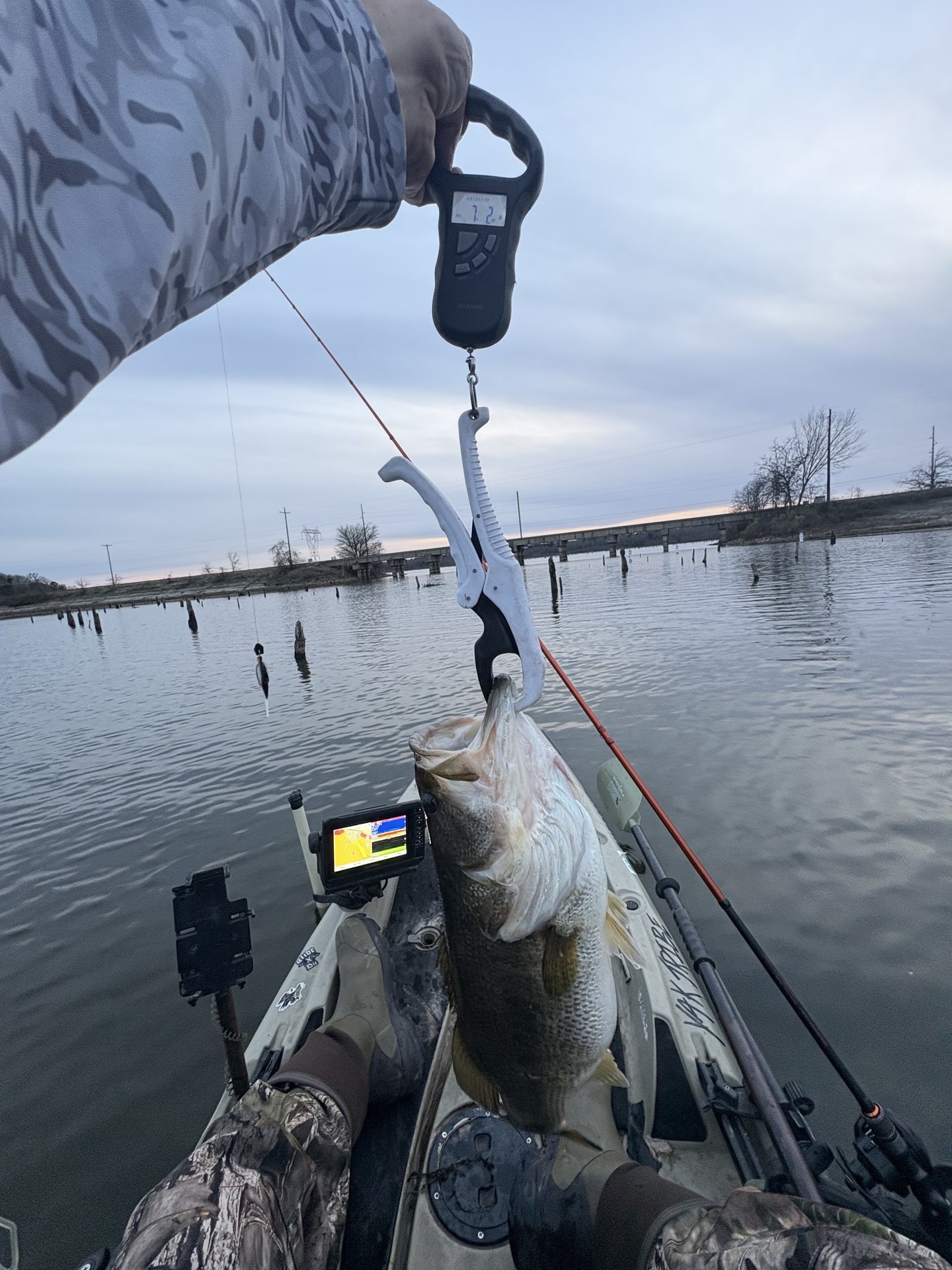 Largemouth Bass catch photo 2