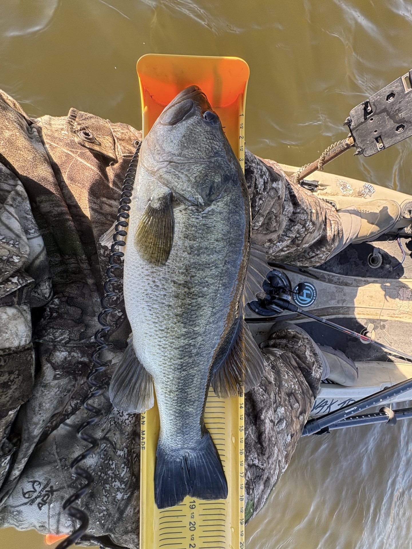 Largemouth Bass catch photo 3