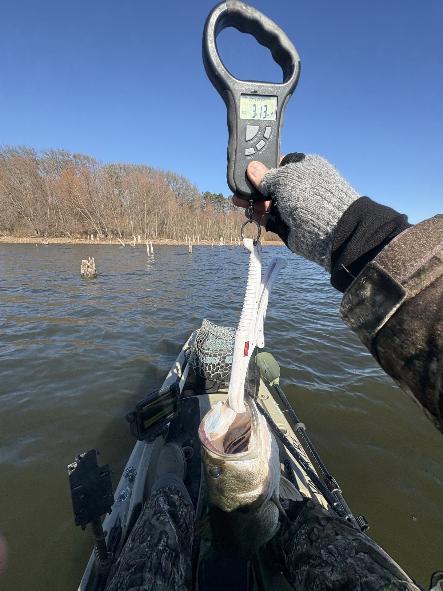 Largemouth Bass catch photo 2