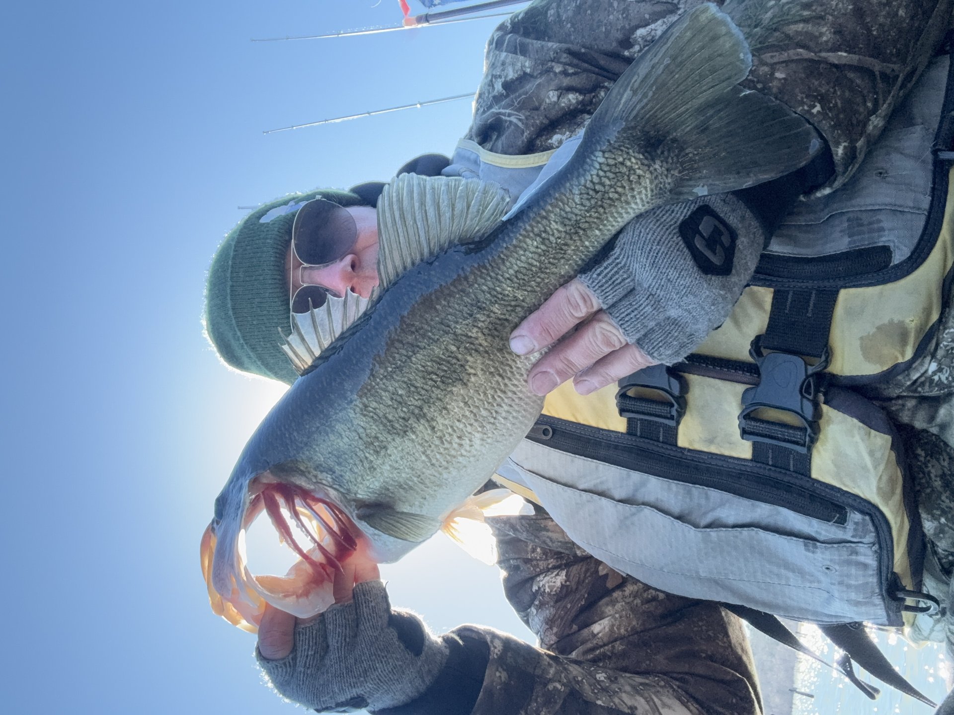Largemouth Bass catch photo 1