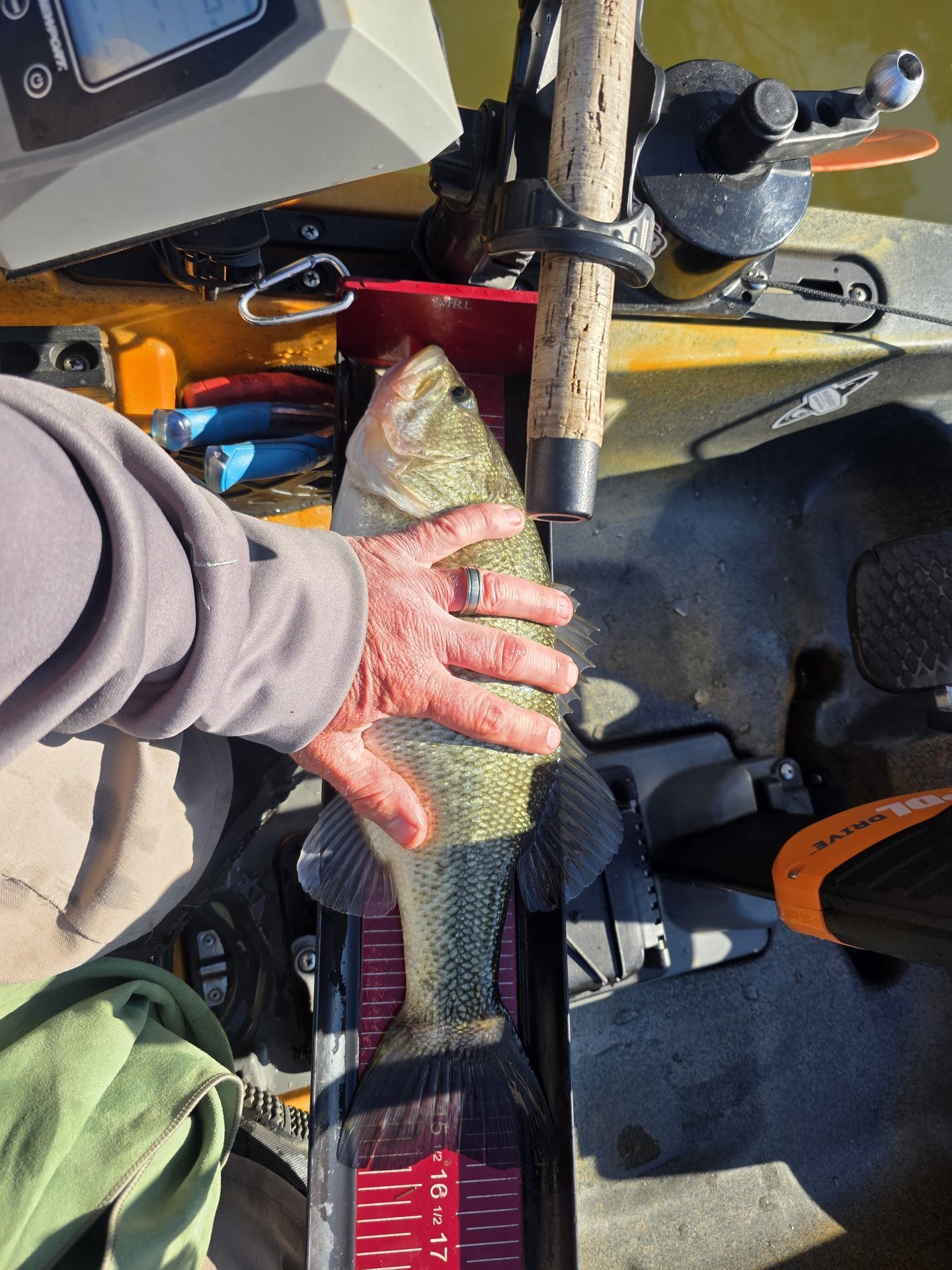 Largemouth Bass catch photo 3
