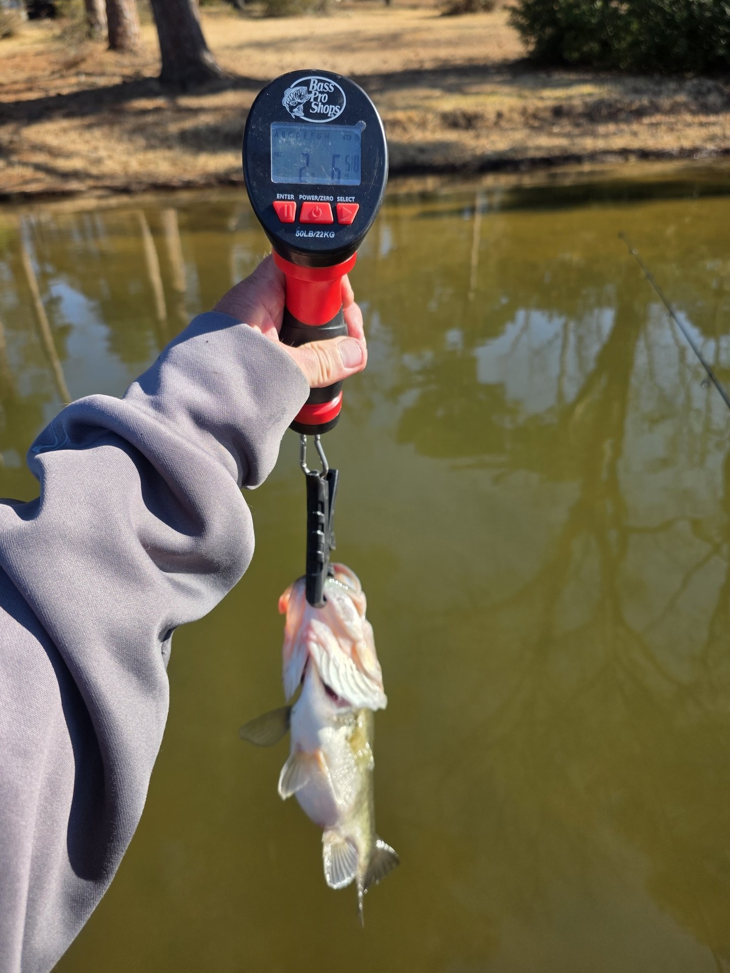 Largemouth Bass catch photo 1