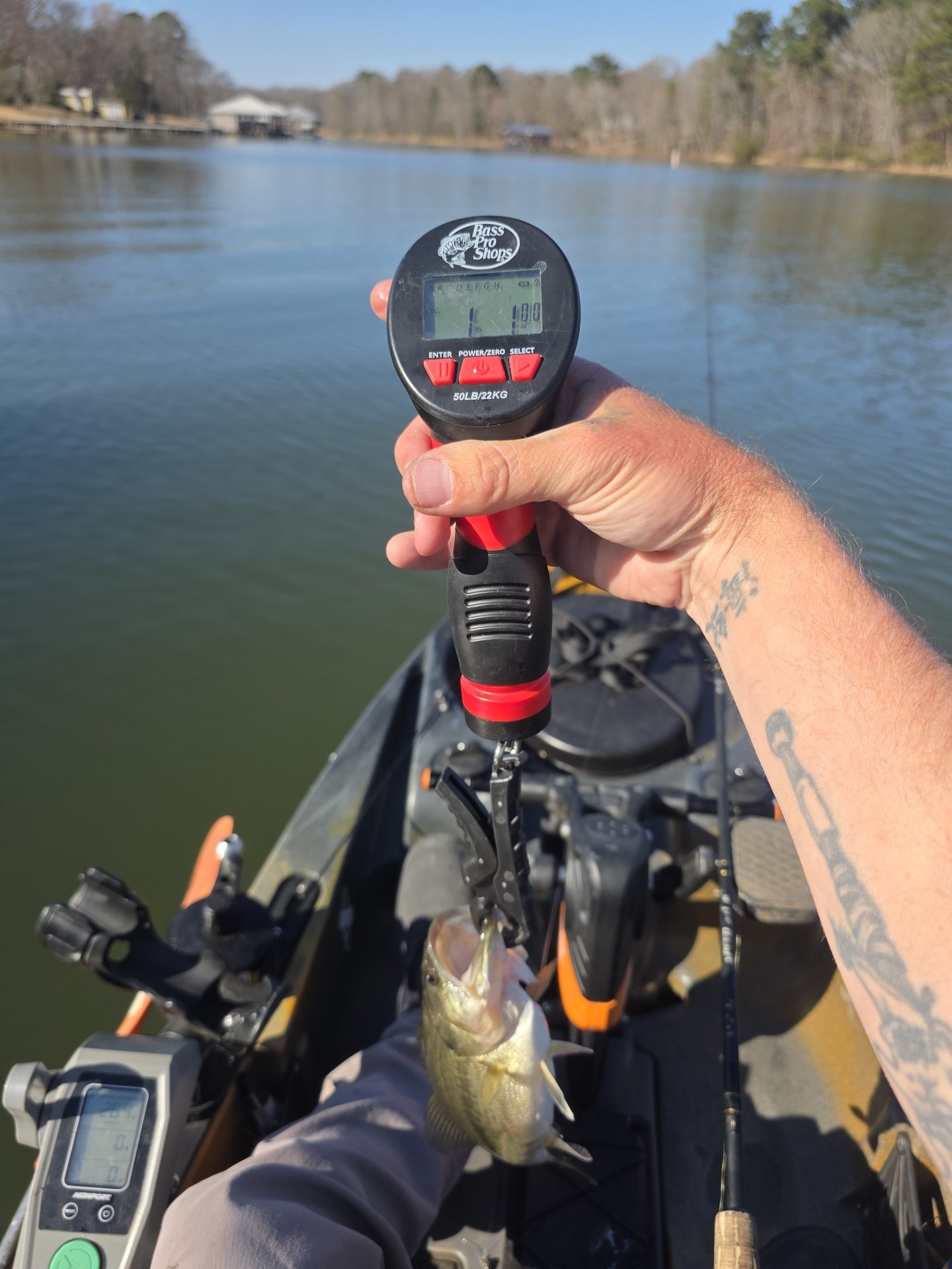 Largemouth Bass catch photo 2