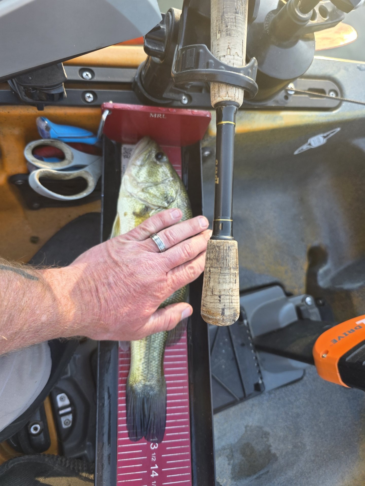 Largemouth Bass catch photo 3