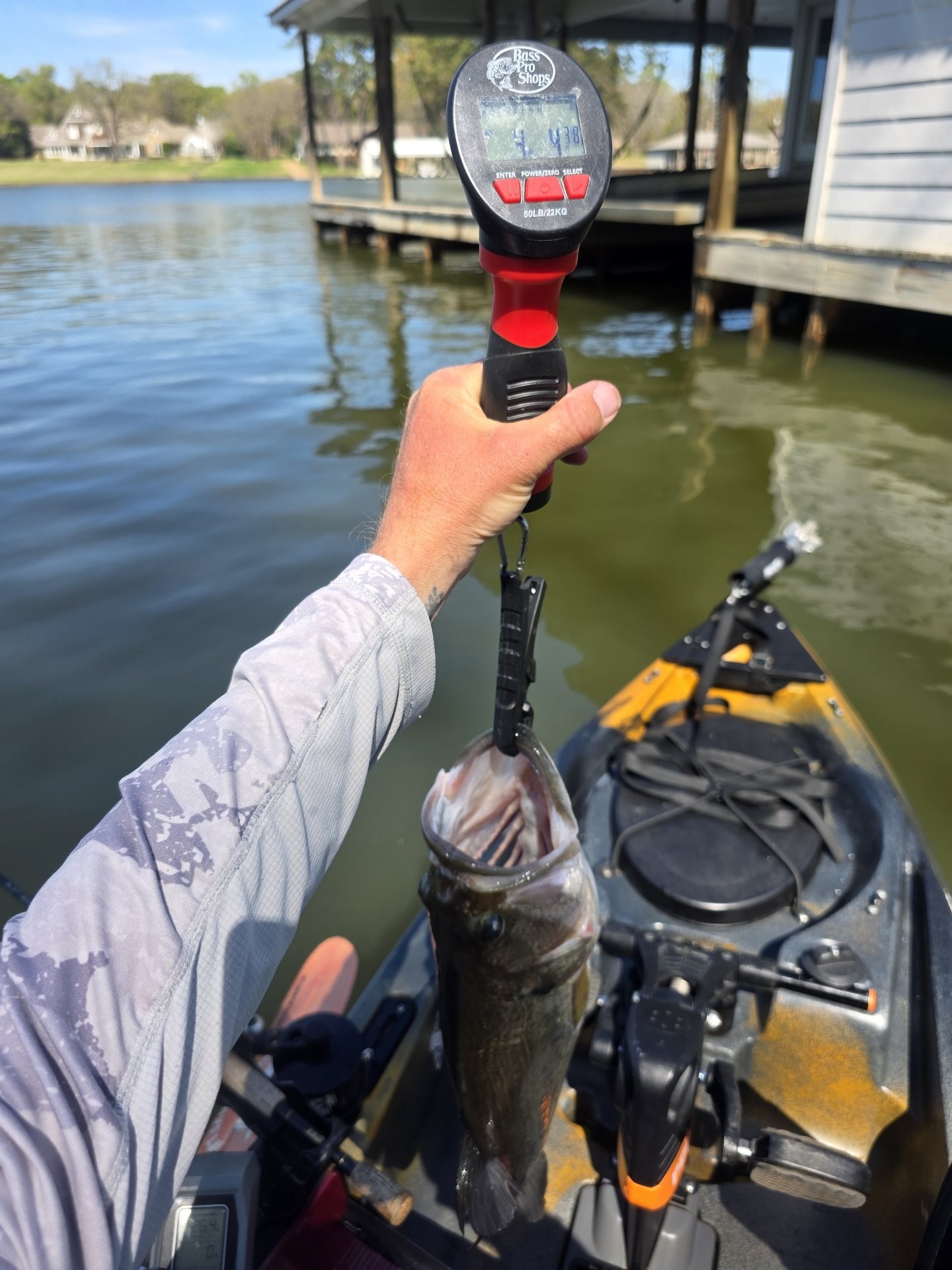 Largemouth Bass catch photo 2