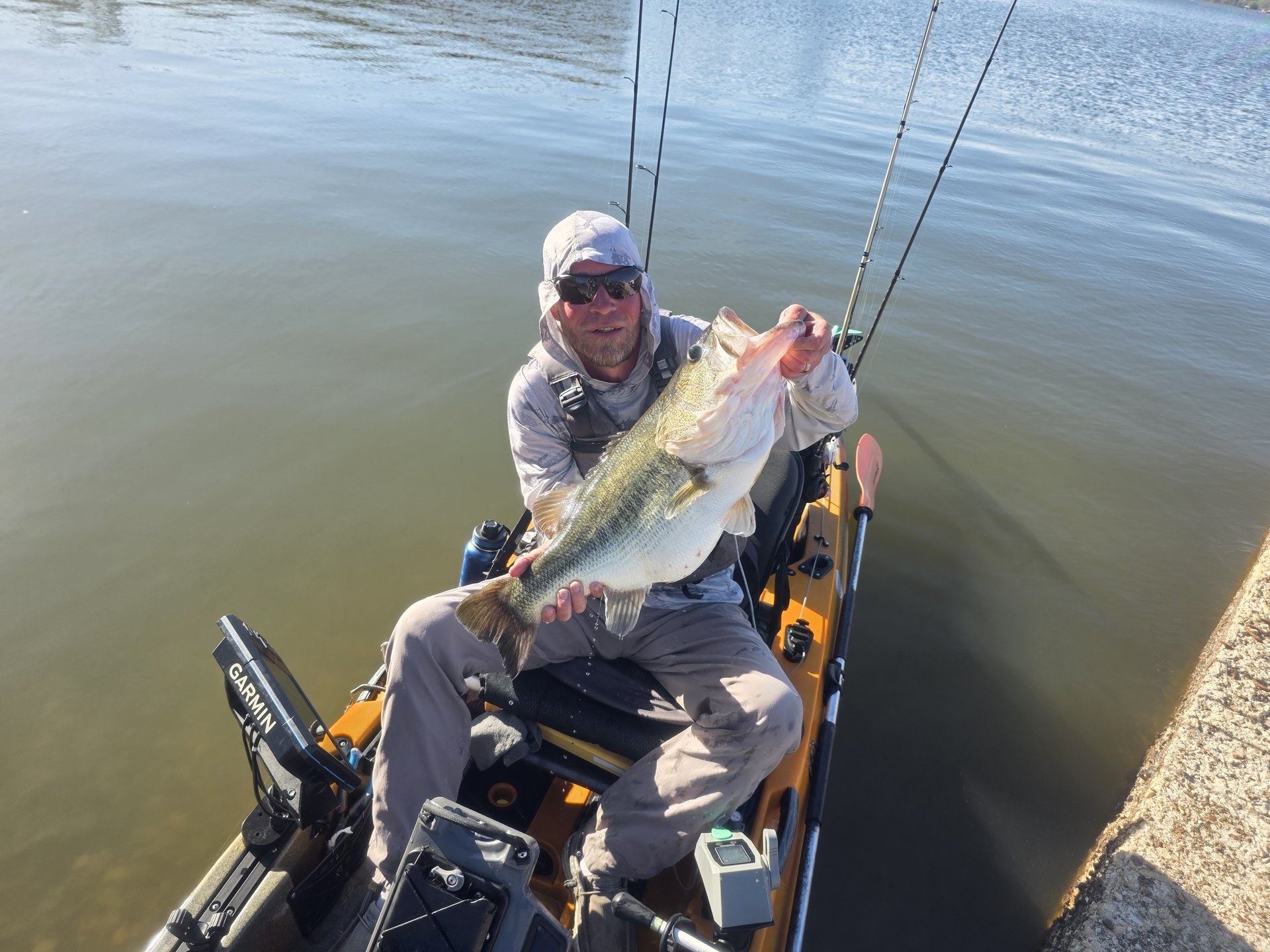 Largemouth Bass