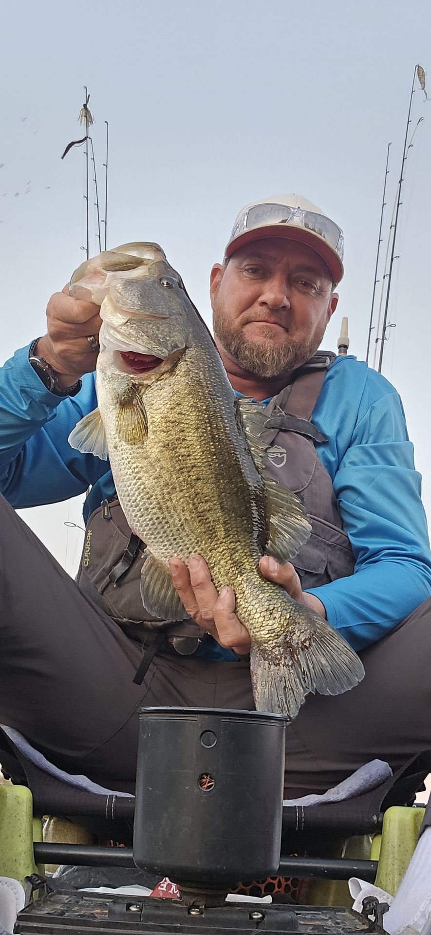 Largemouth Bass