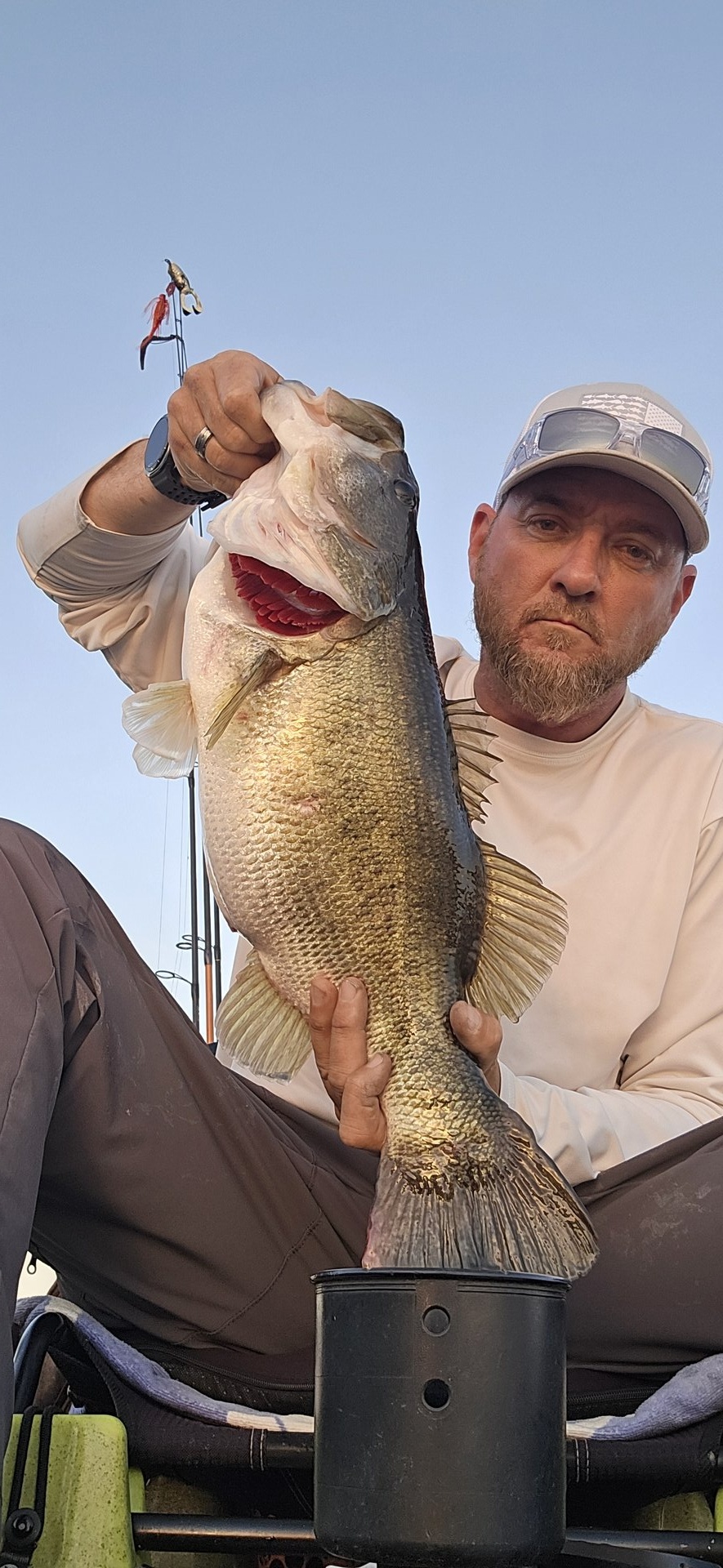 Largemouth Bass