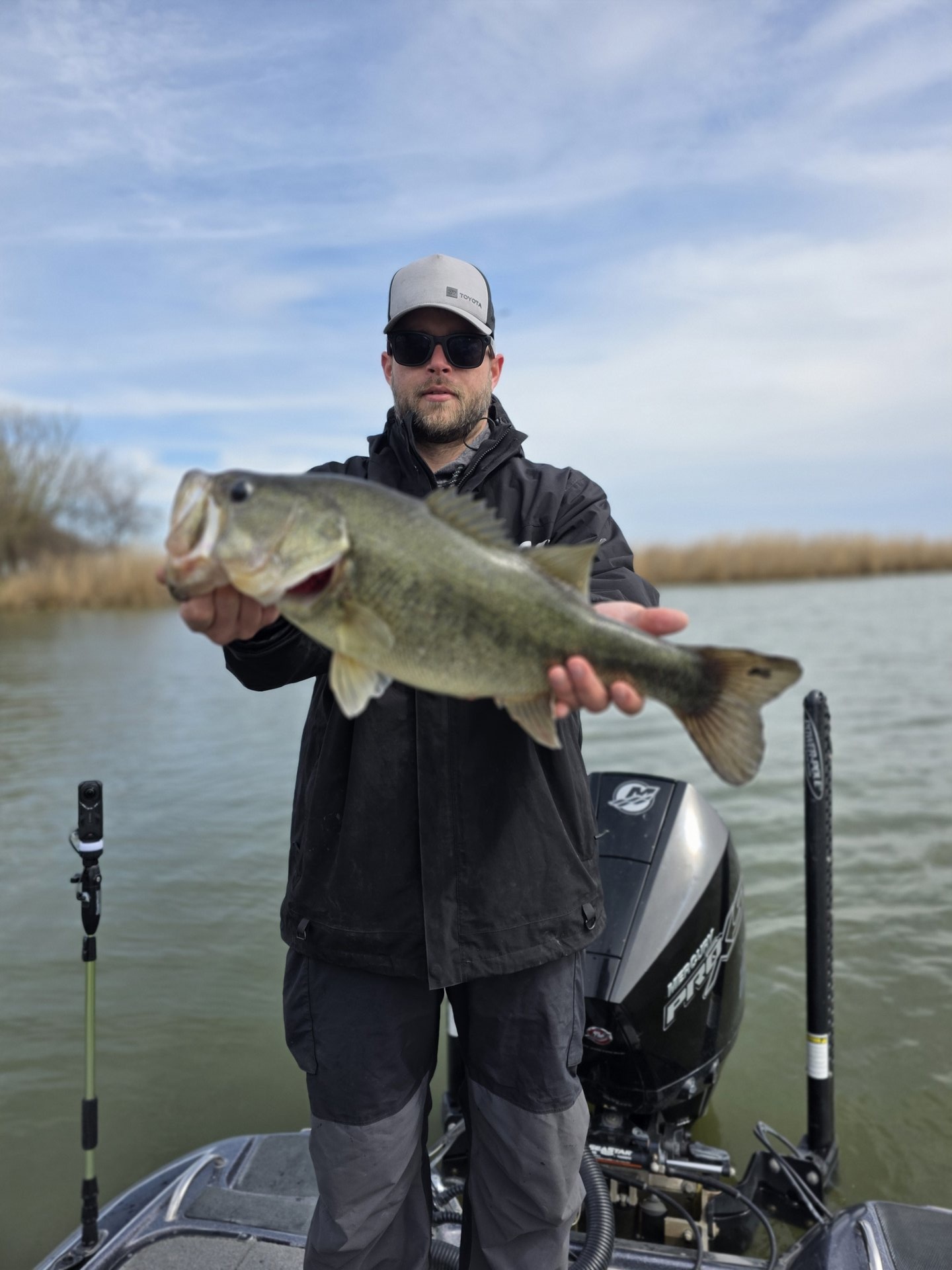 Largemouth Bass