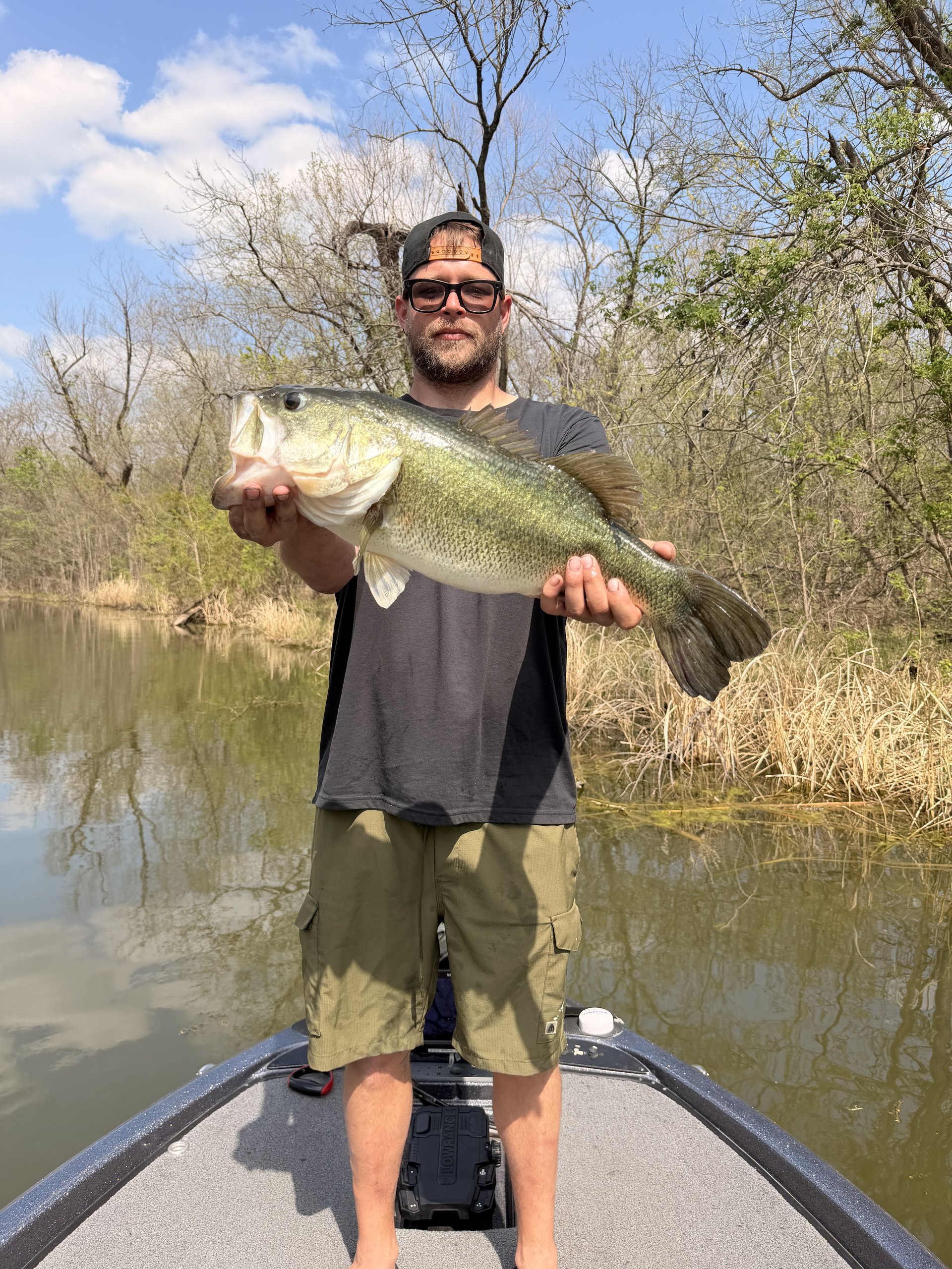 Largemouth Bass catch photo 1