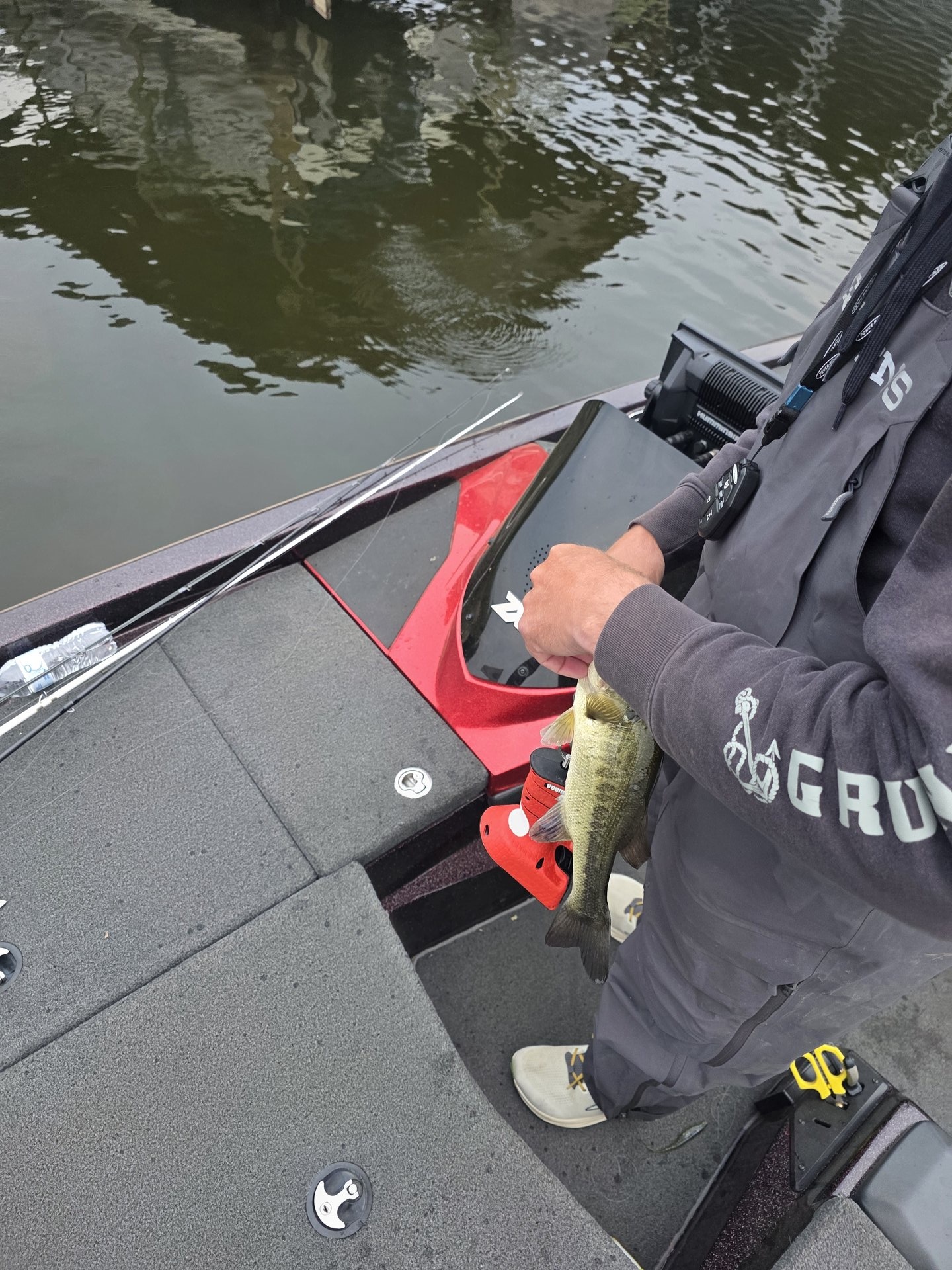 Largemouth Bass catch photo 1