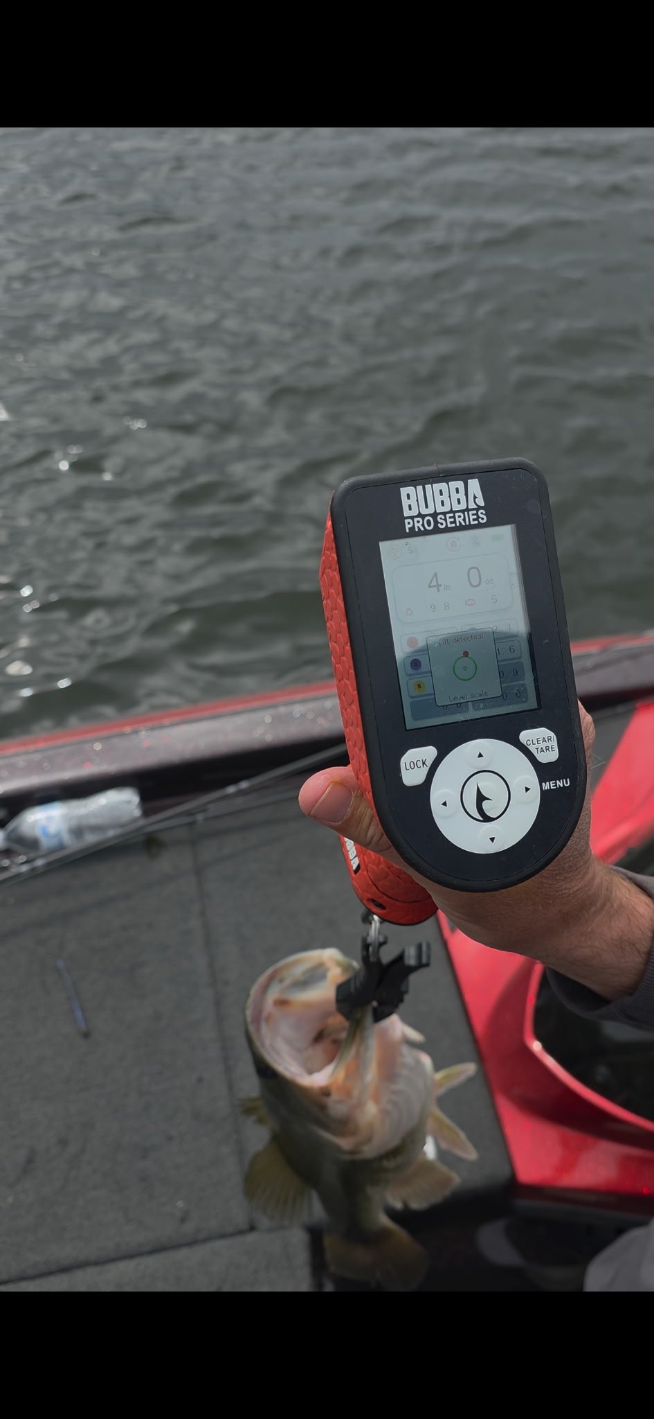 Russell85 · Fish on Scale
