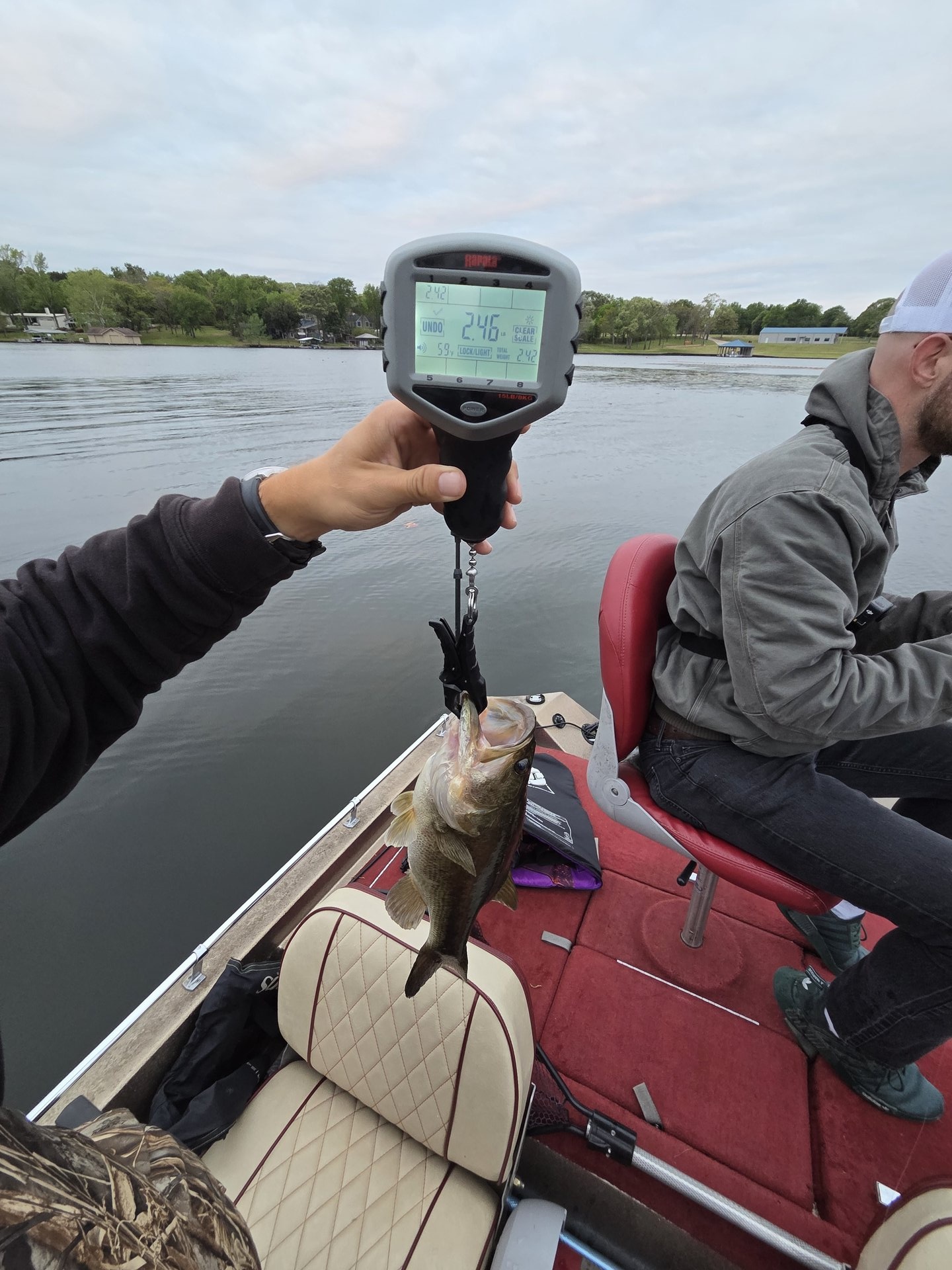 Cody · Fish on Scale