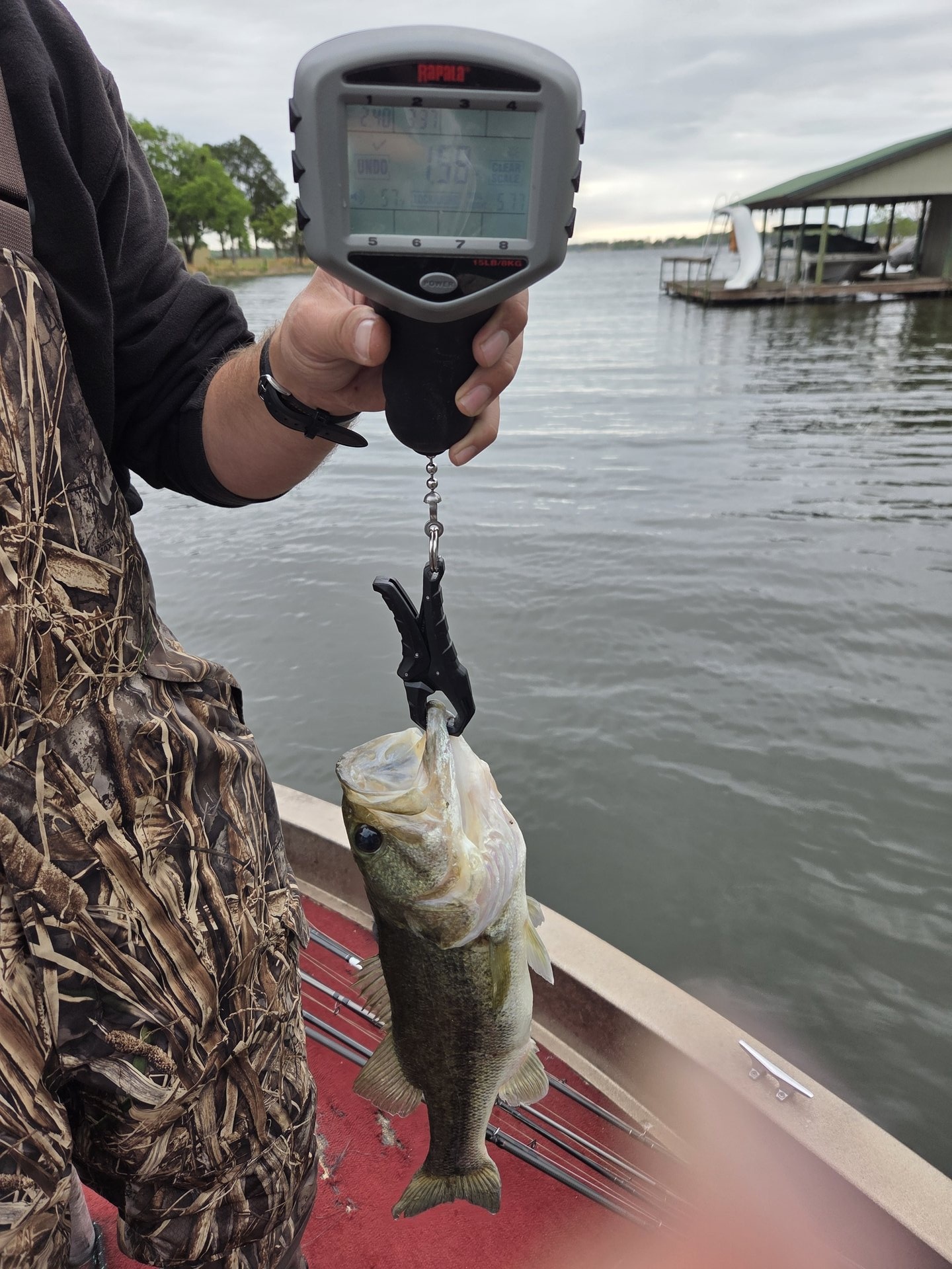 Cody · Fish on Scale