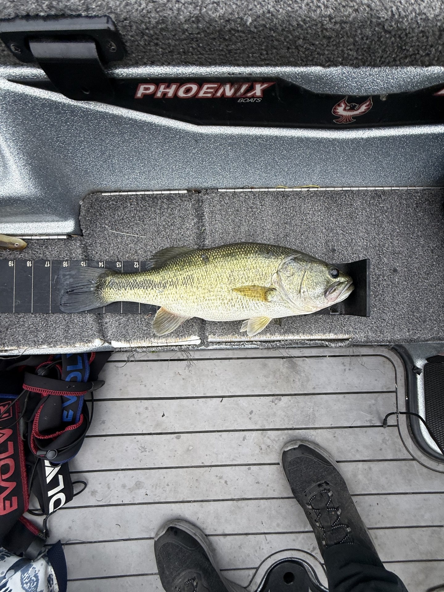 Dan Fay · Fish on Measuring Board