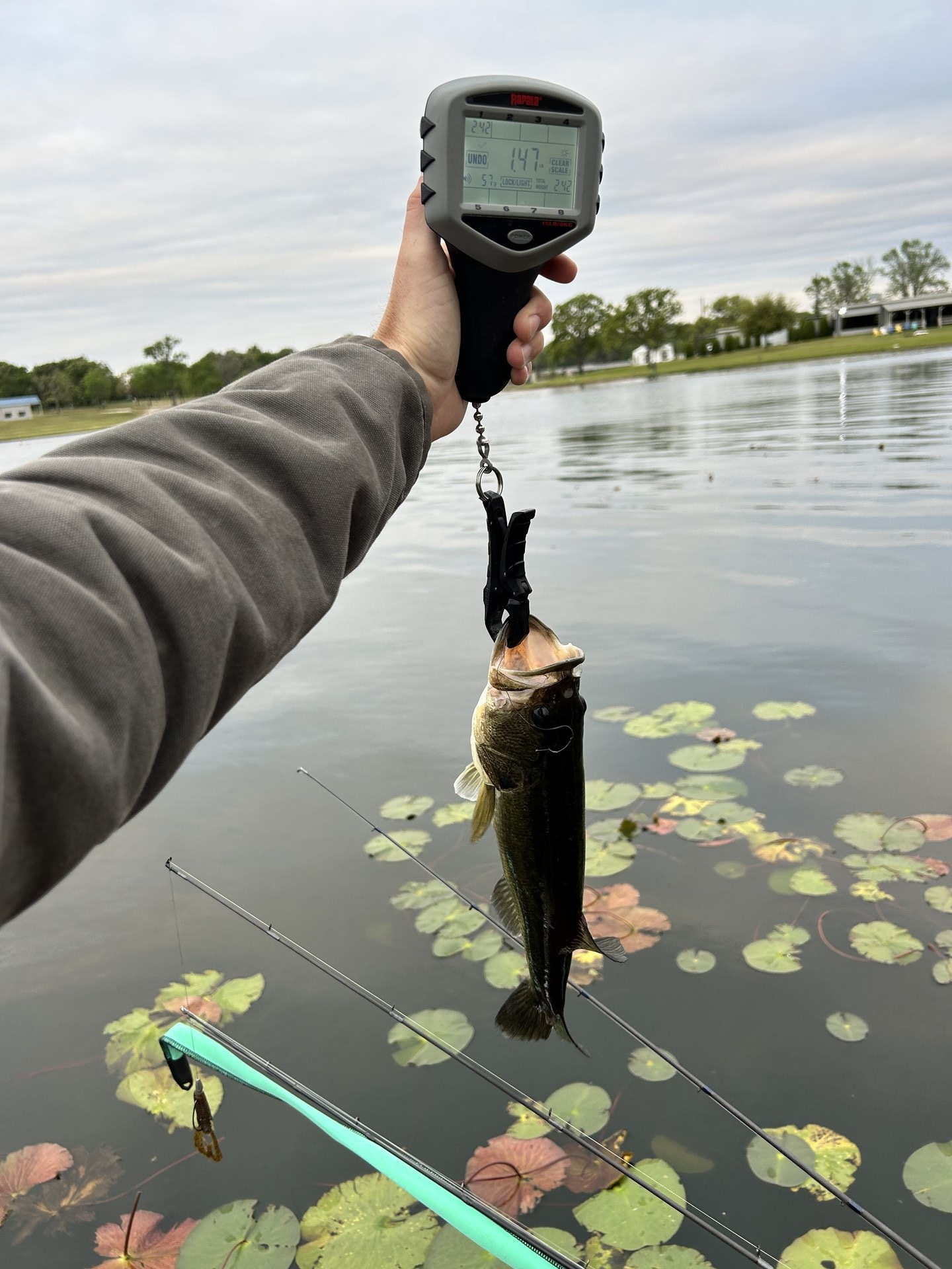 RiversideGarrett · Fish on Scale