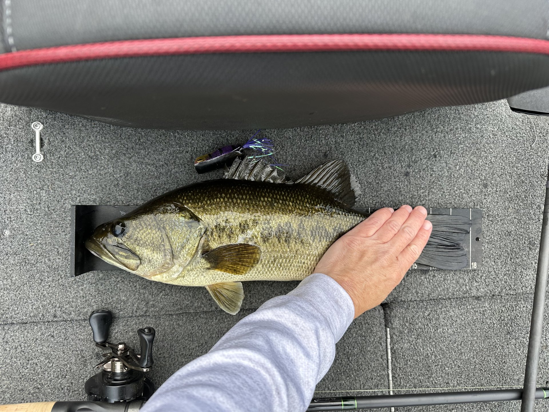 DenaDavisOutdoors · Fish on Measuring Board