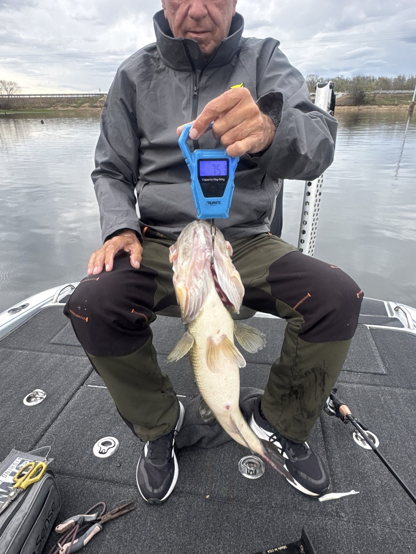 Largemouth Bass