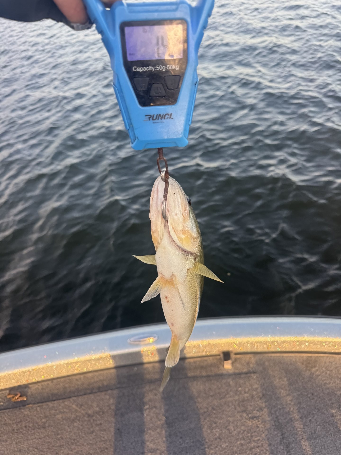Largemouth Bass catch photo 1