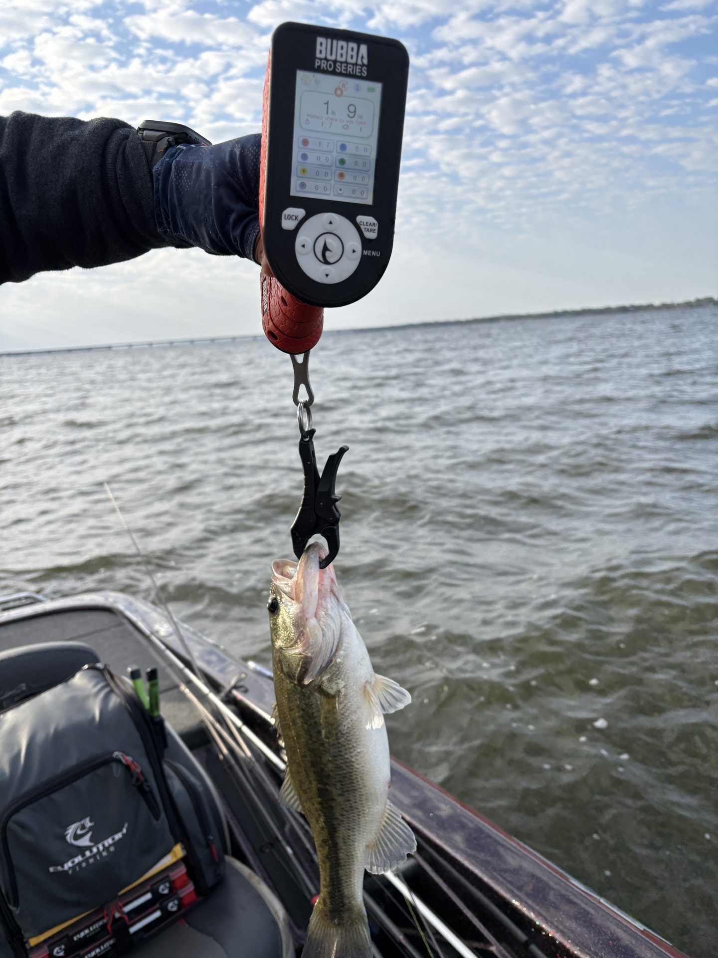 Russell85 · Fish on Scale
