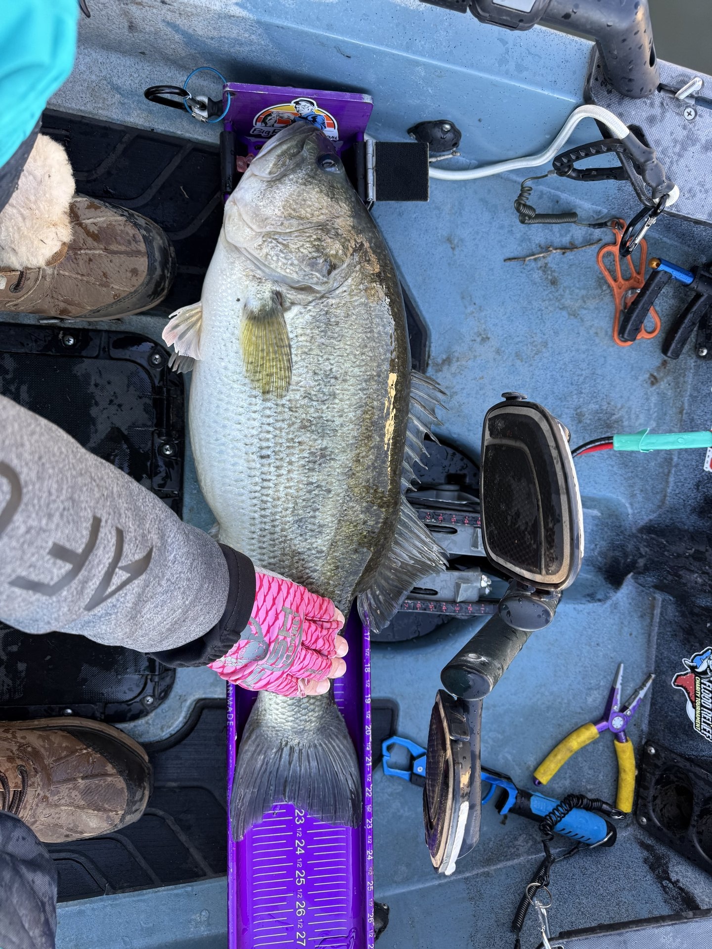 Largemouth Bass catch photo 3