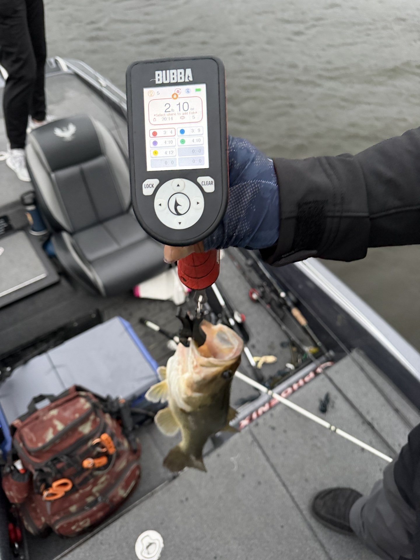 Chris Escobar · Fish on Scale
