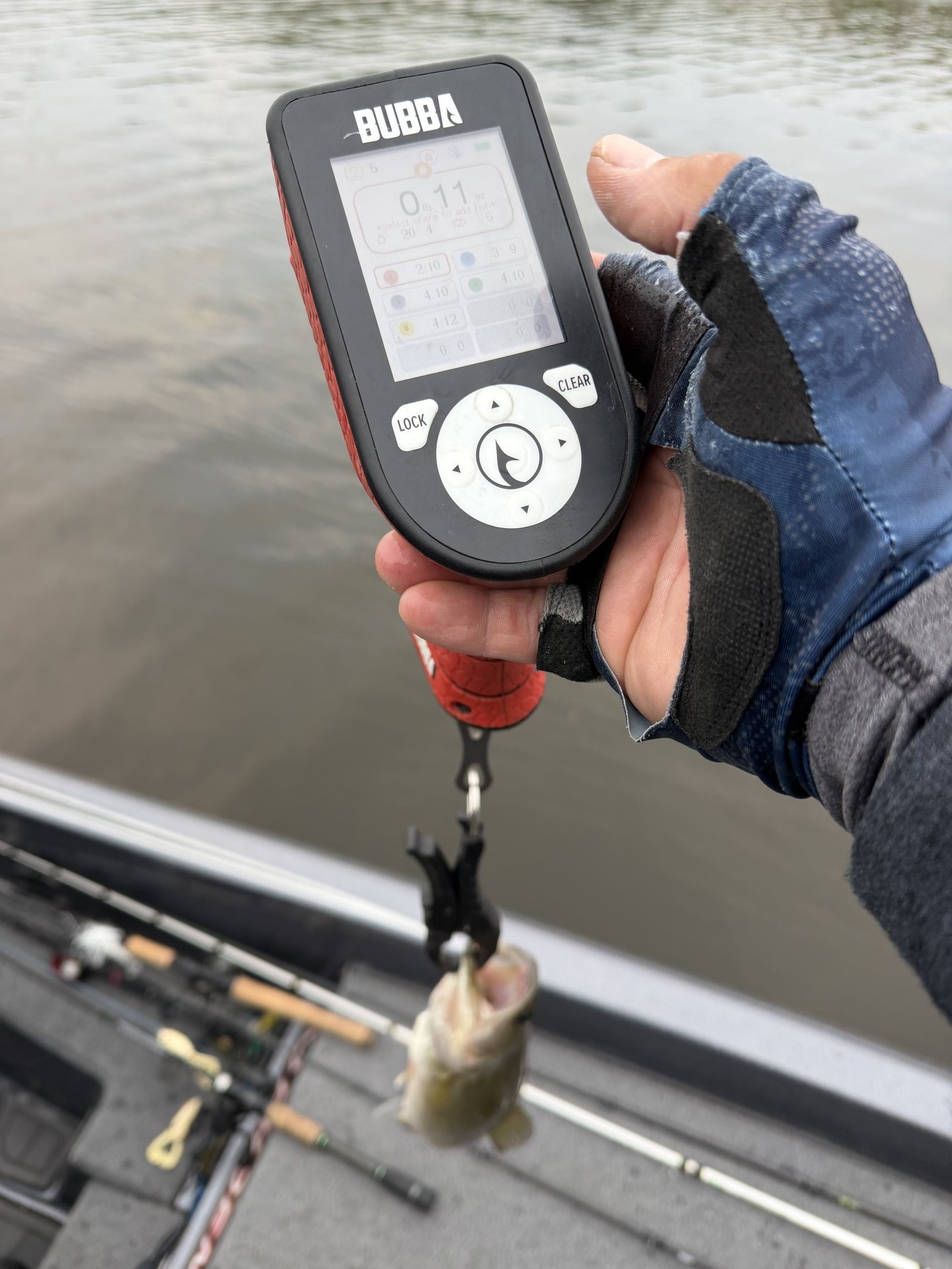 Largemouth Bass catch photo 2