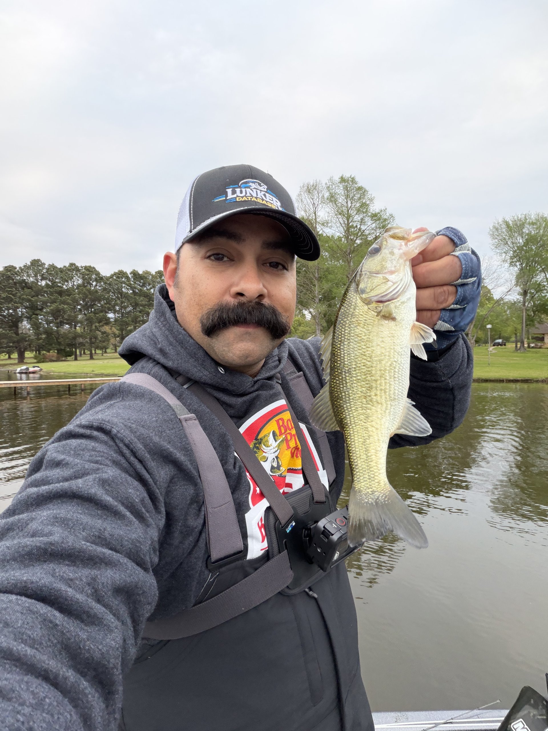 Largemouth Bass catch photo 1