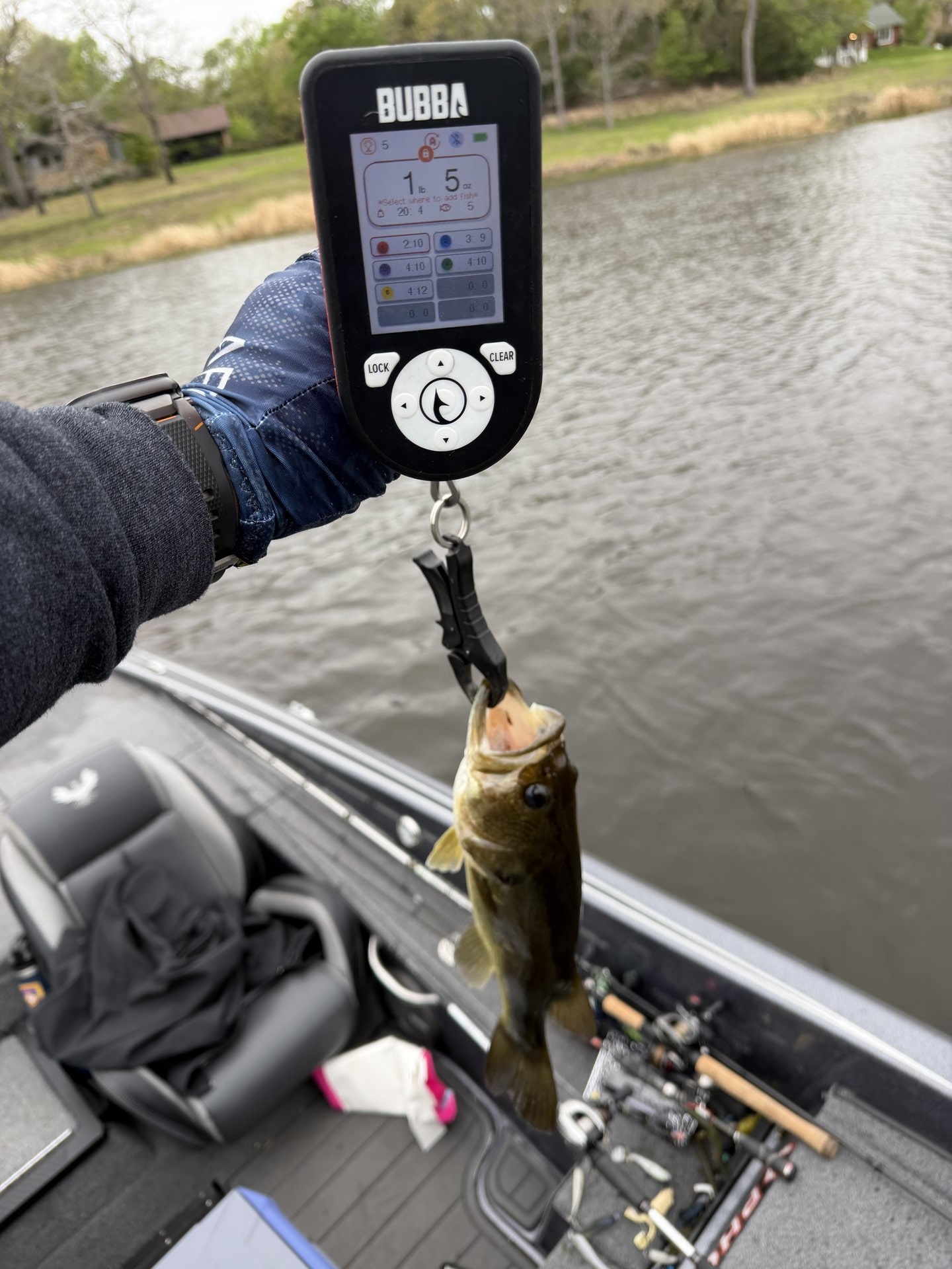 Chris Escobar · Fish on Scale