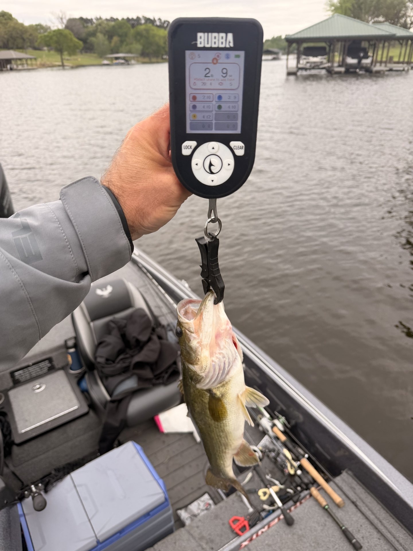 Chris Semchenko · Fish on Scale