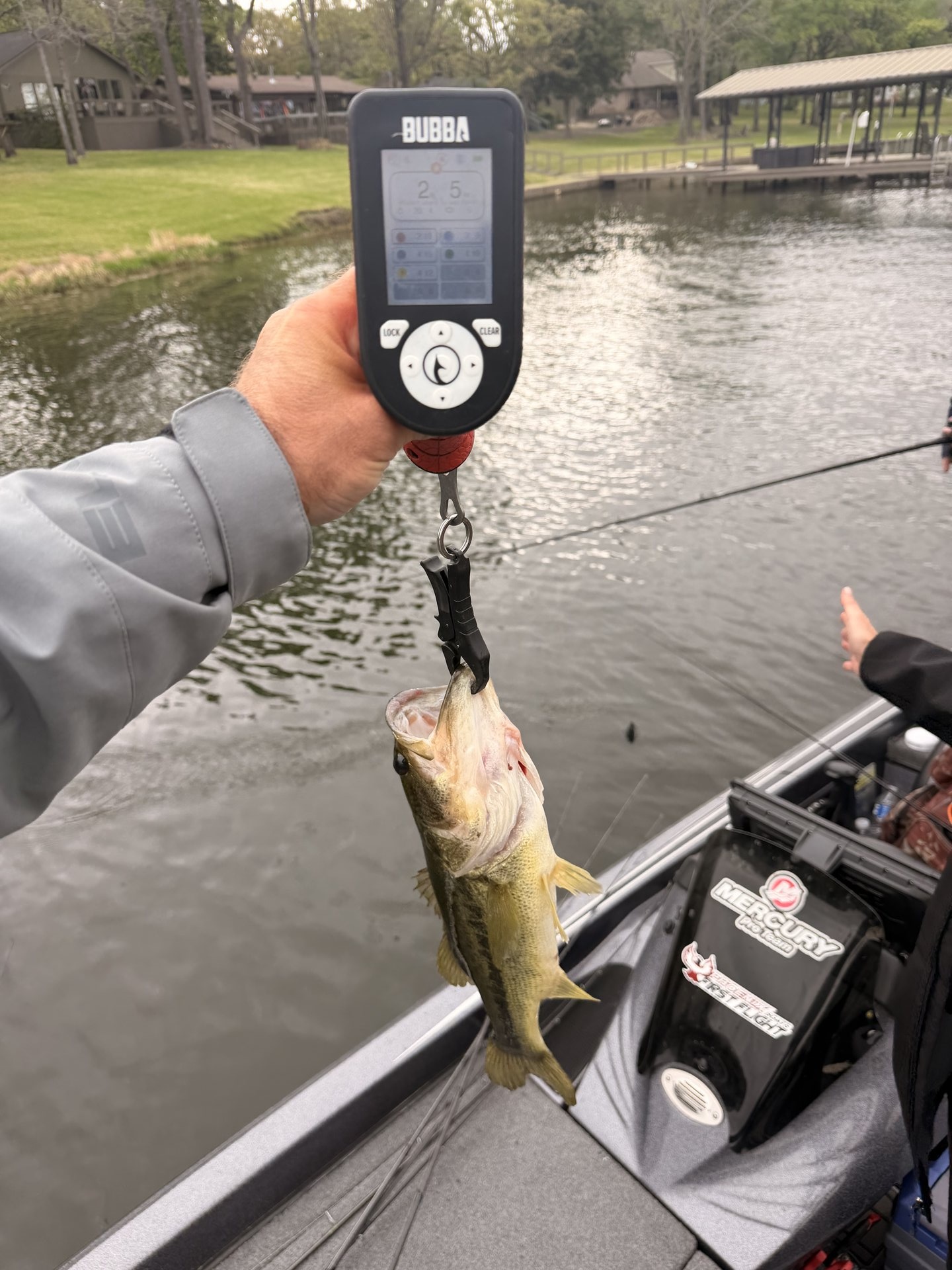 Chris Semchenko · Fish on Scale