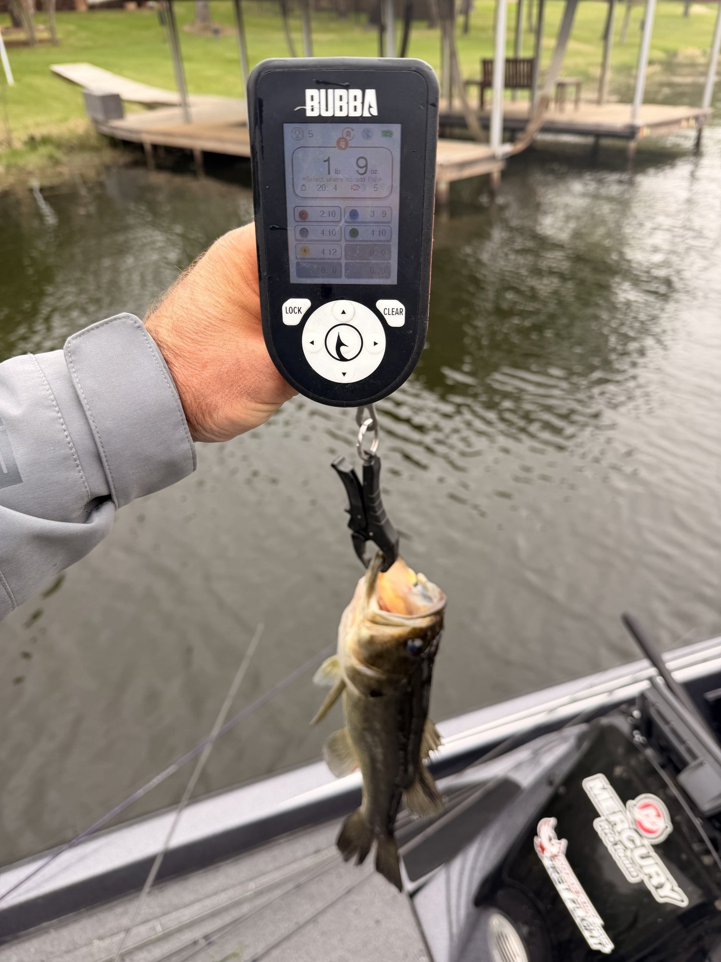 Chris Semchenko · Fish on Scale