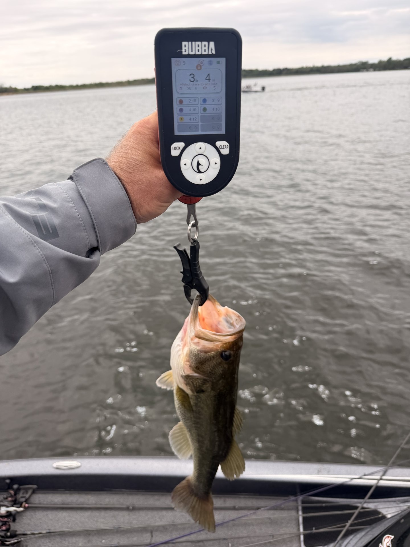 Chris Semchenko · Fish on Scale