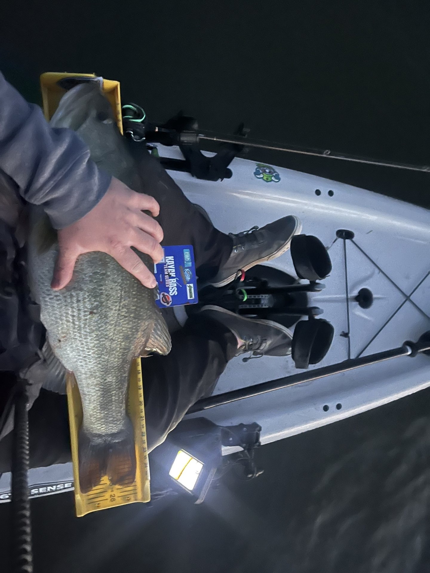 Largemouth Bass catch photo 2