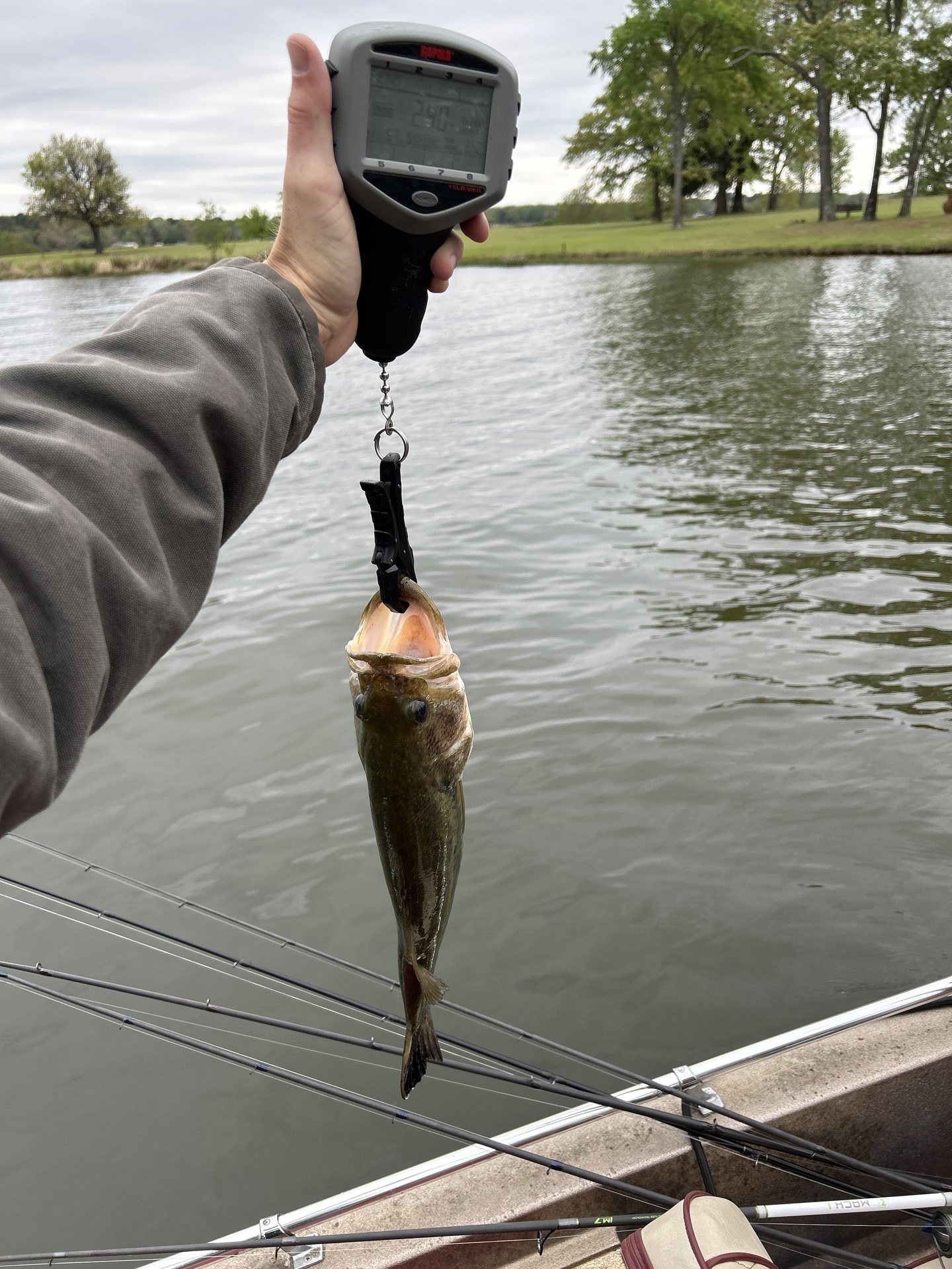 RiversideGarrett · Fish on Scale