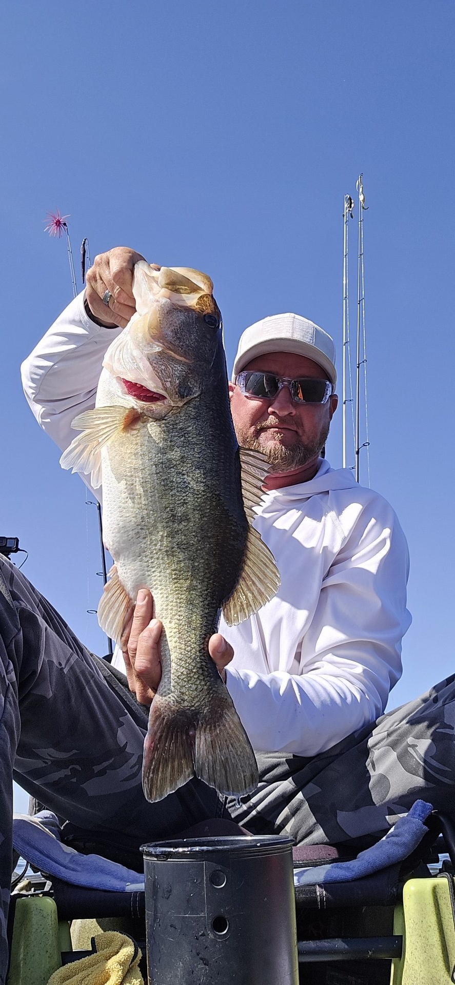 Largemouth Bass