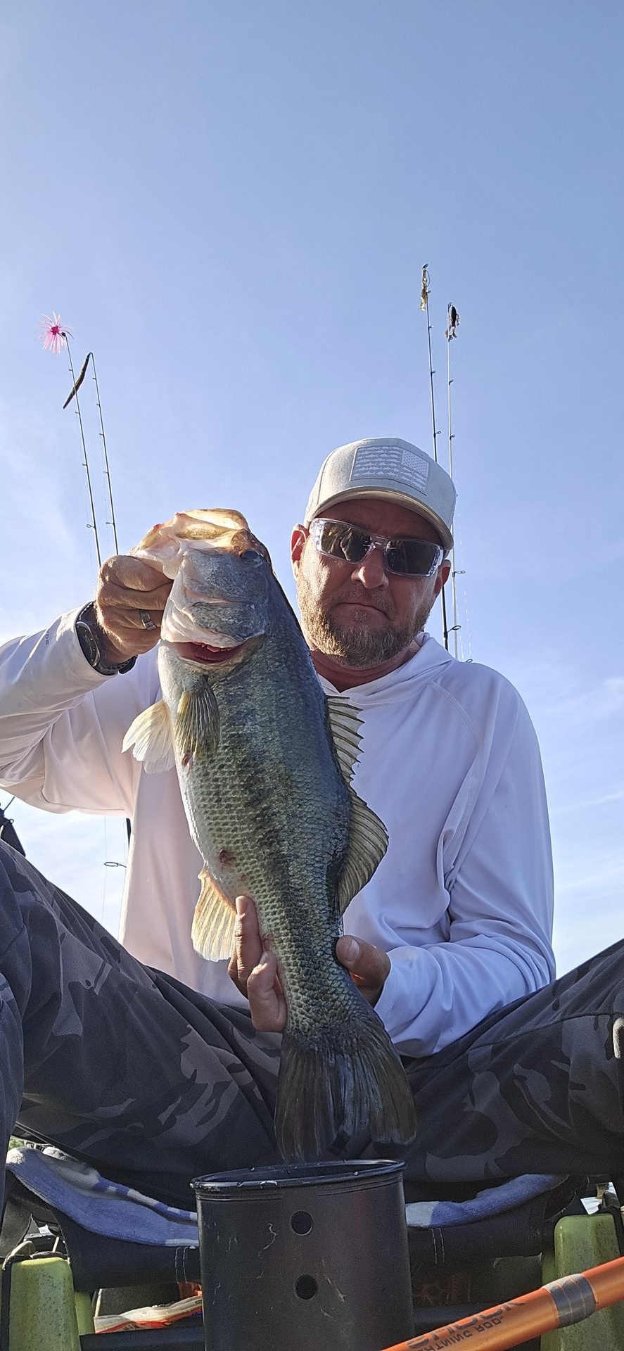 Largemouth Bass