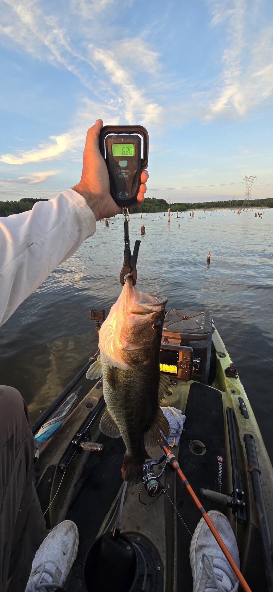 Largemouth Bass