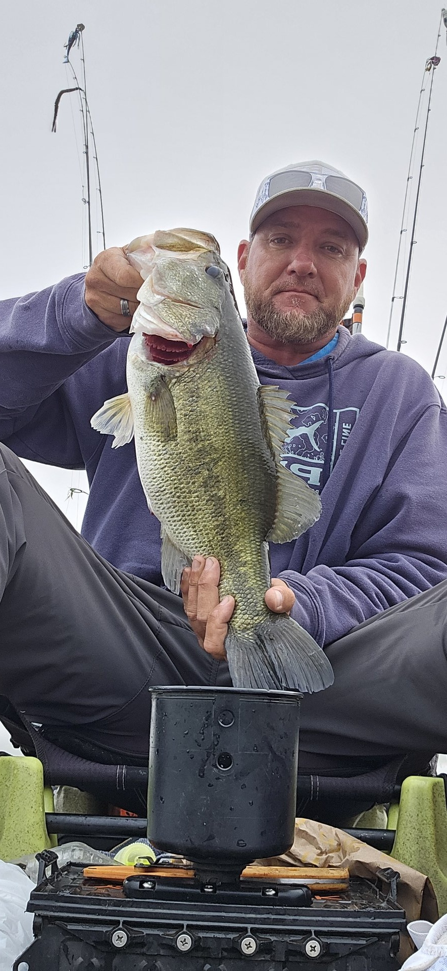 Largemouth Bass
