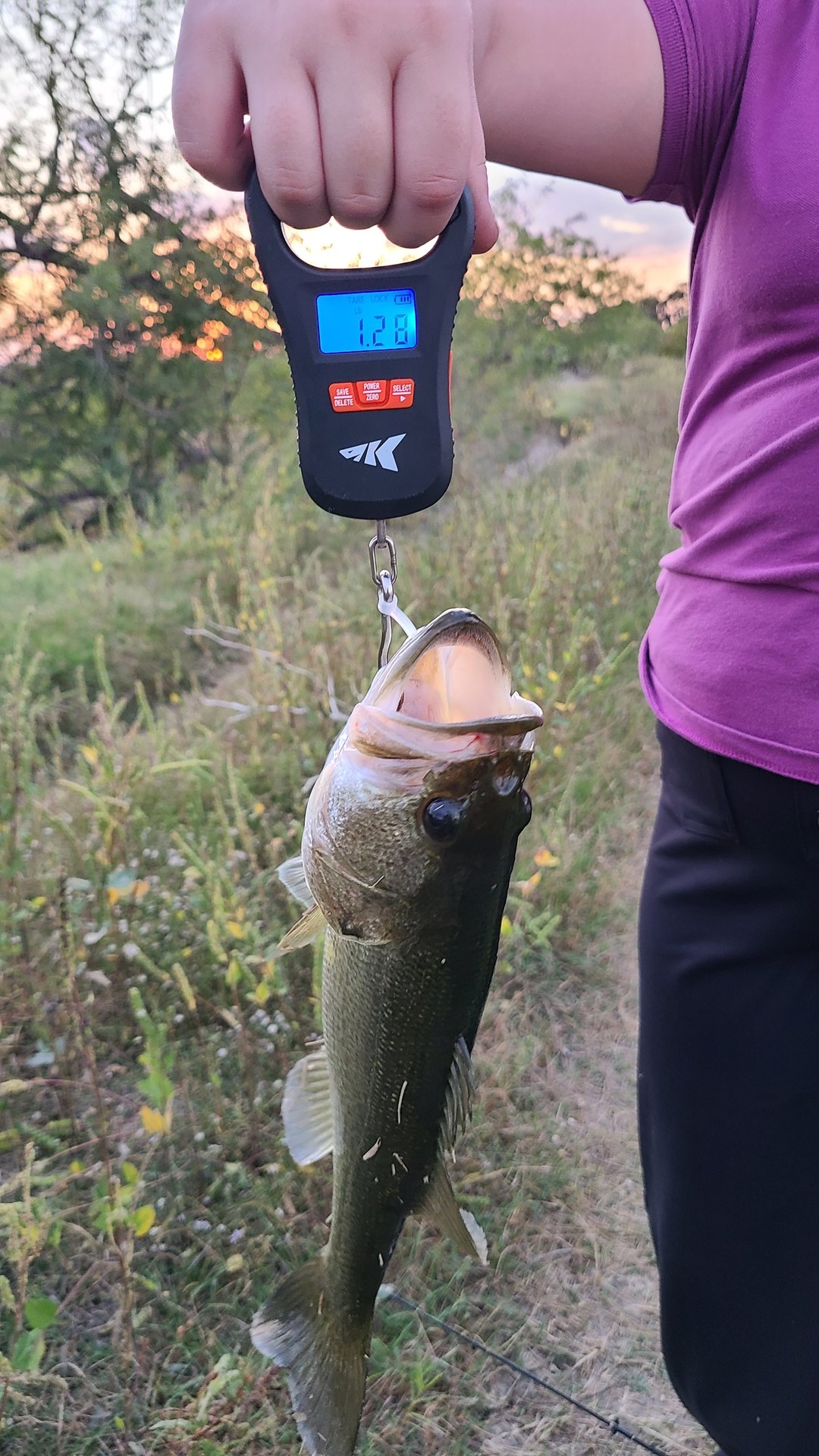 Largemouth Bass catch photo 2