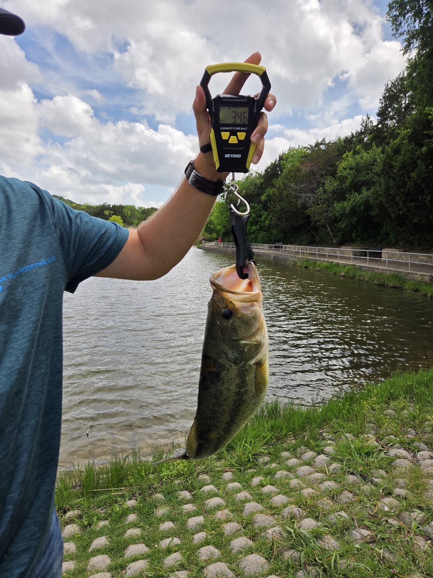 Largemouth Bass catch photo 2