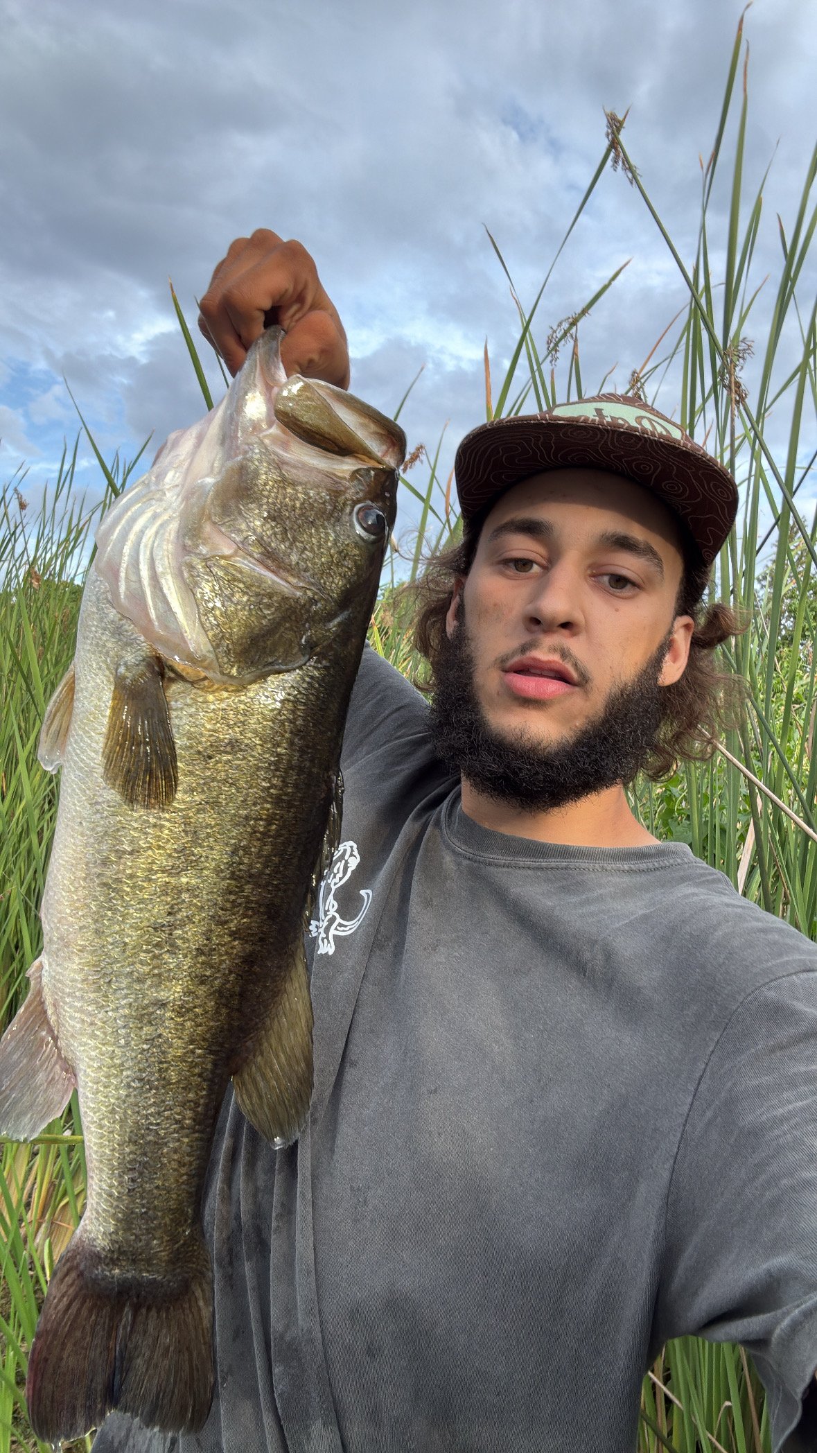 Largemouth Bass catch photo 1