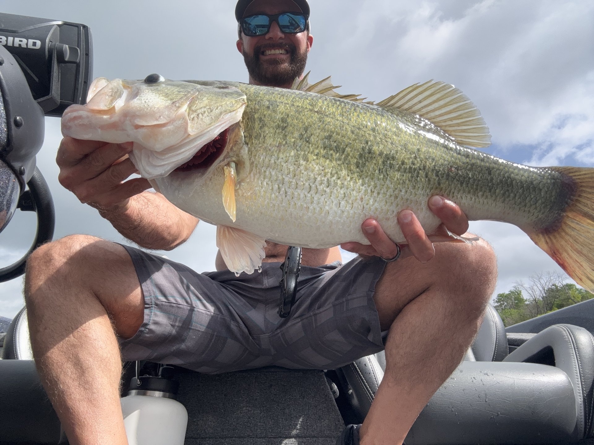 Largemouth Bass