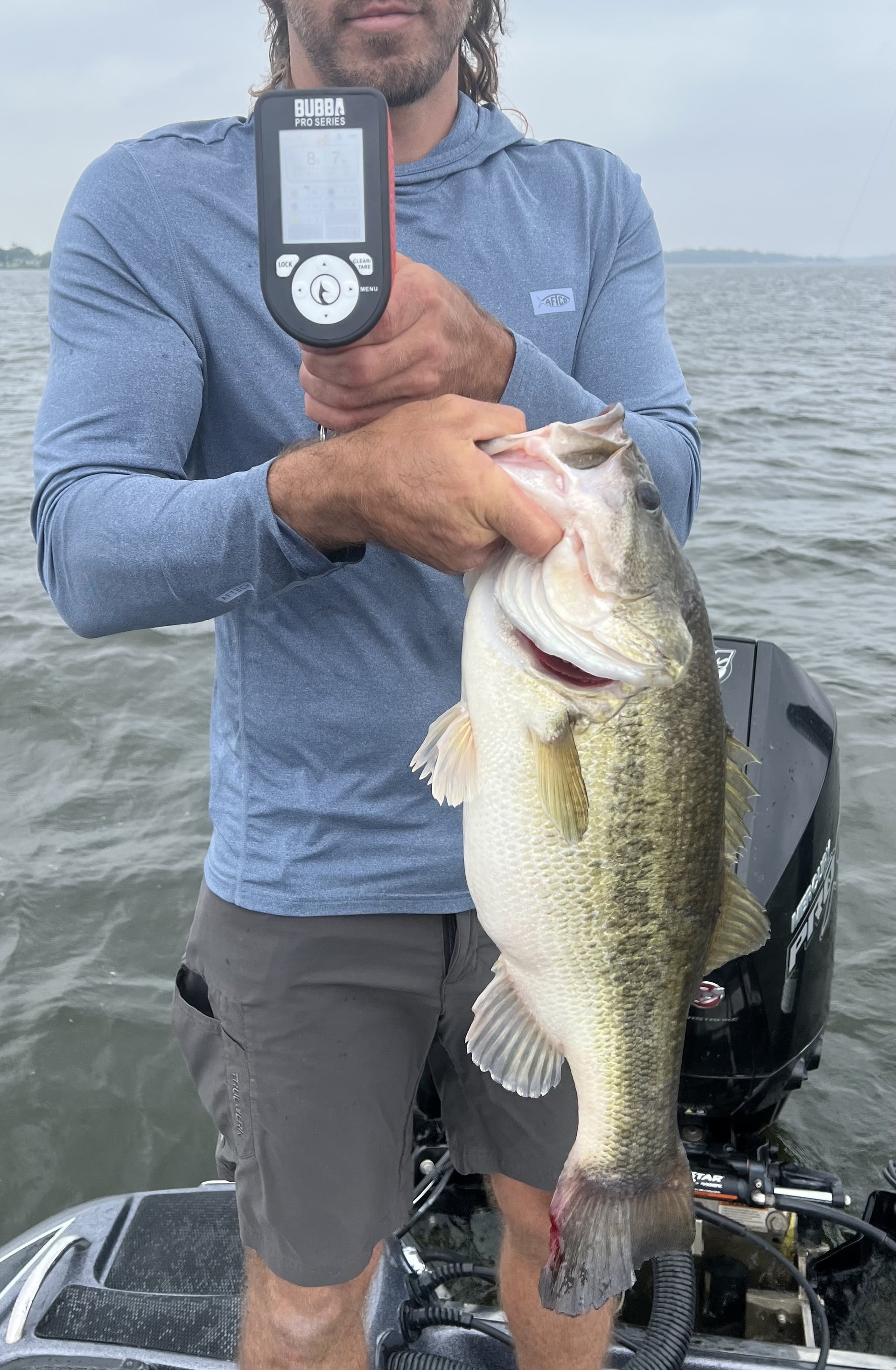 Largemouth Bass