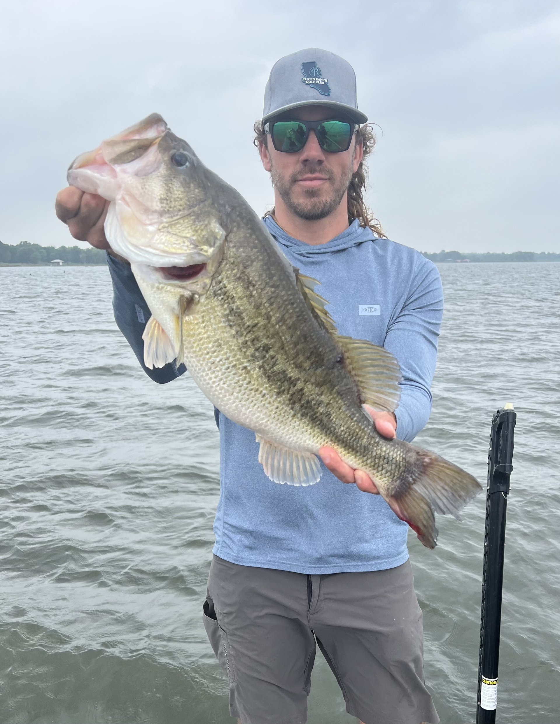 Largemouth Bass