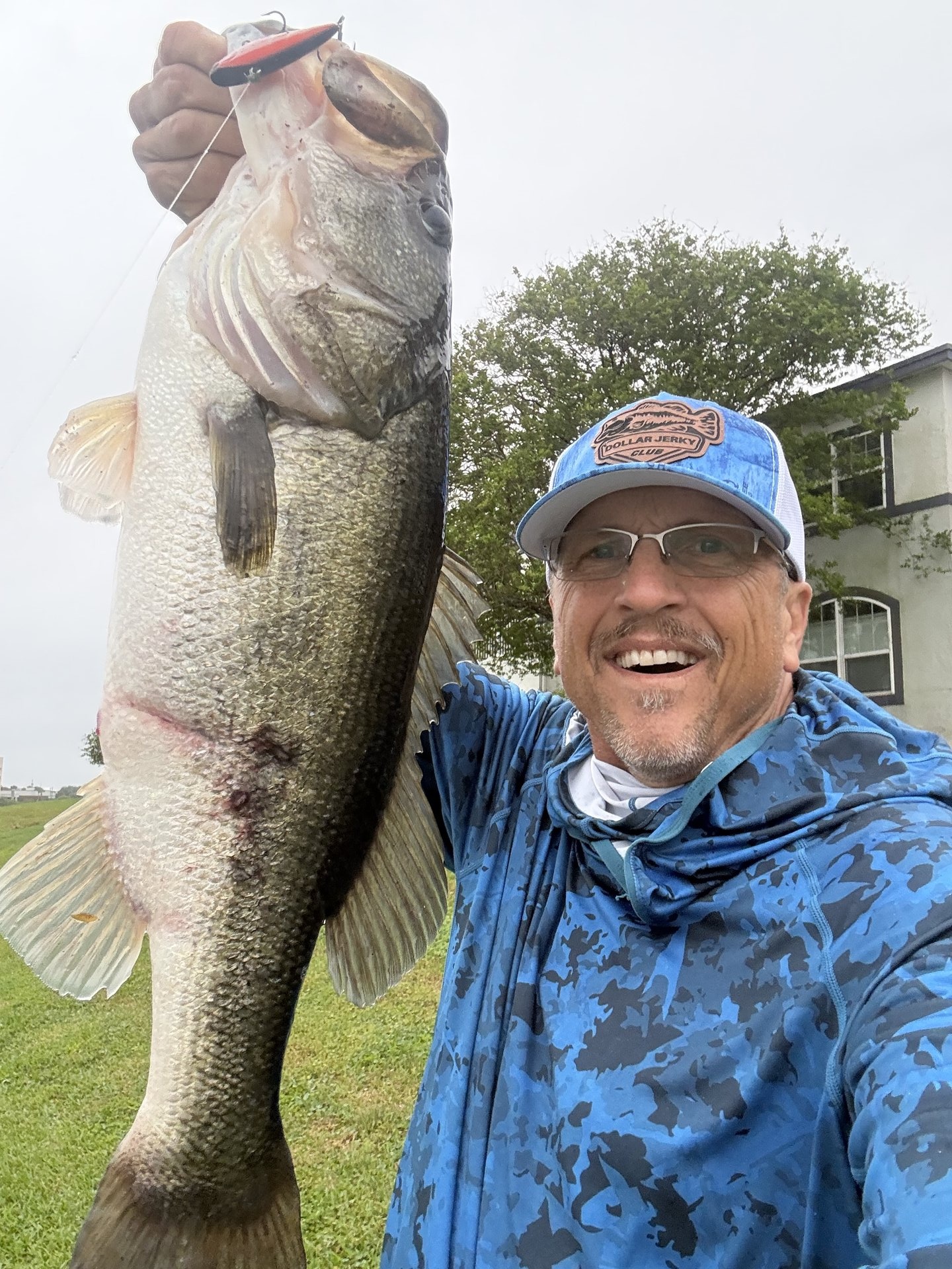 Largemouth Bass
