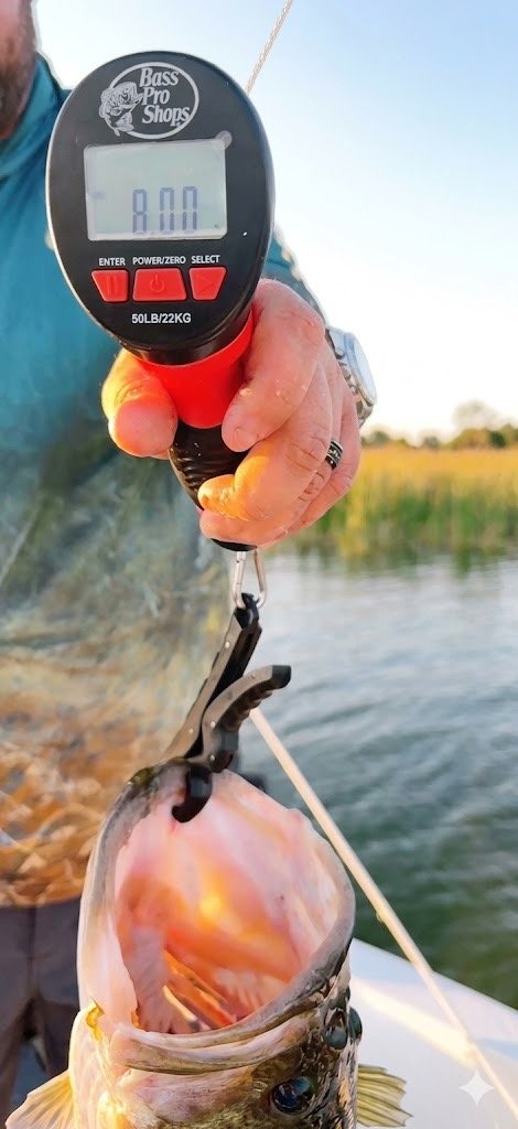 Largemouth Bass