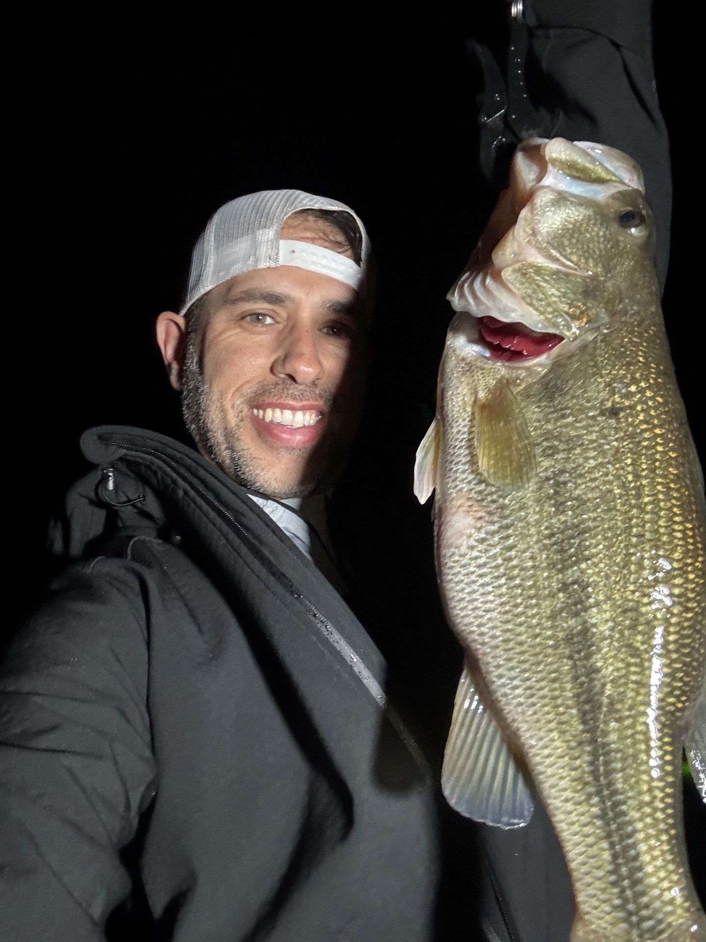 Largemouth Bass