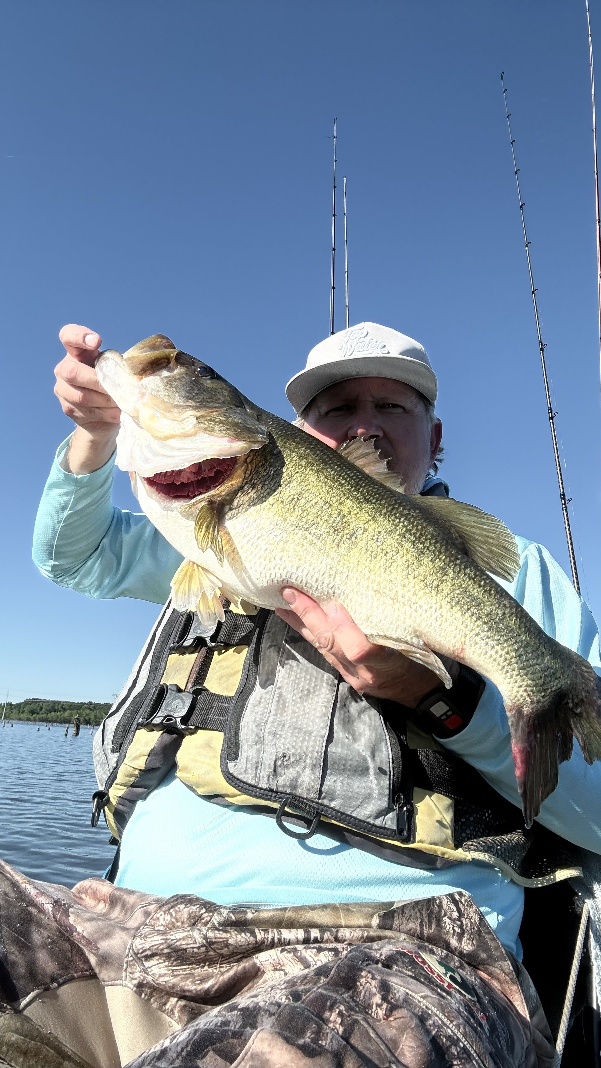 Largemouth Bass
