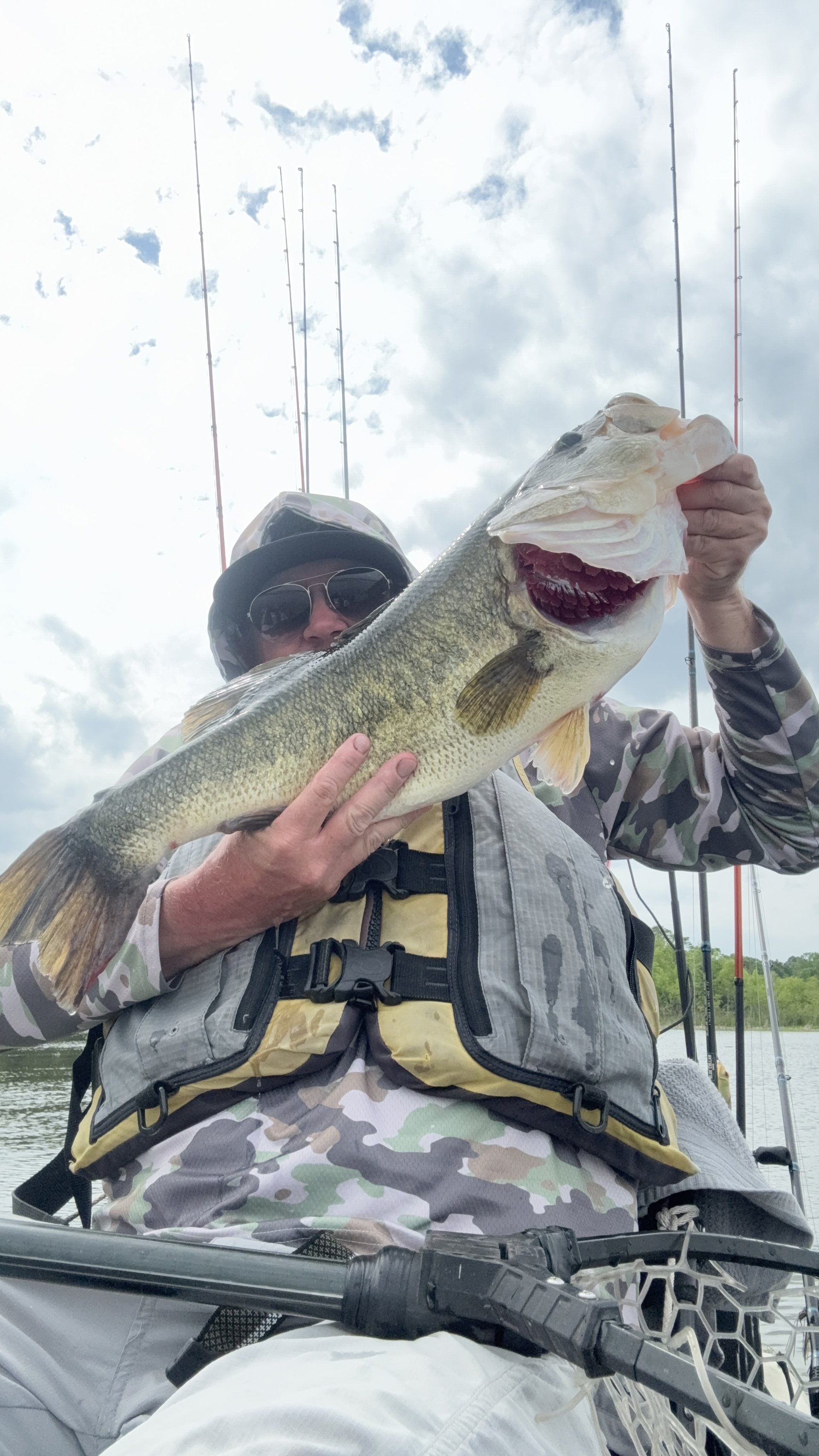 Largemouth Bass